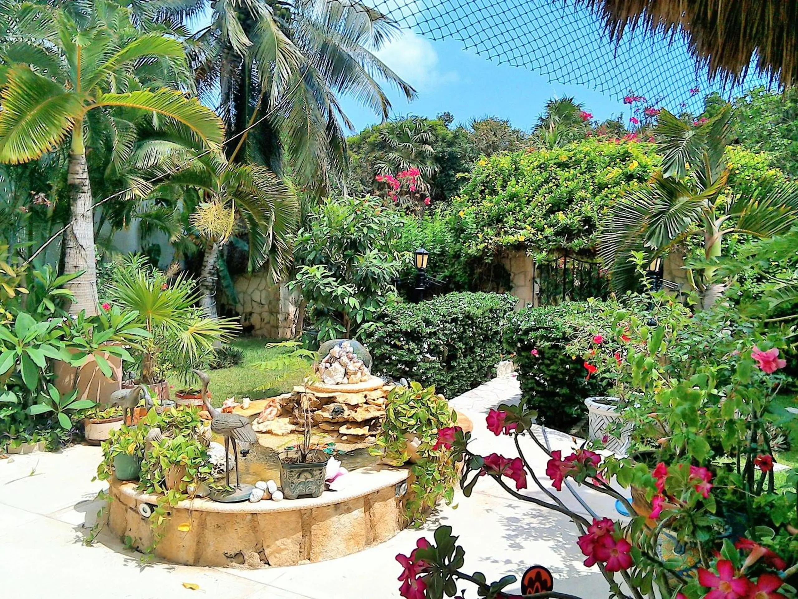 Garden in Casa Gatos