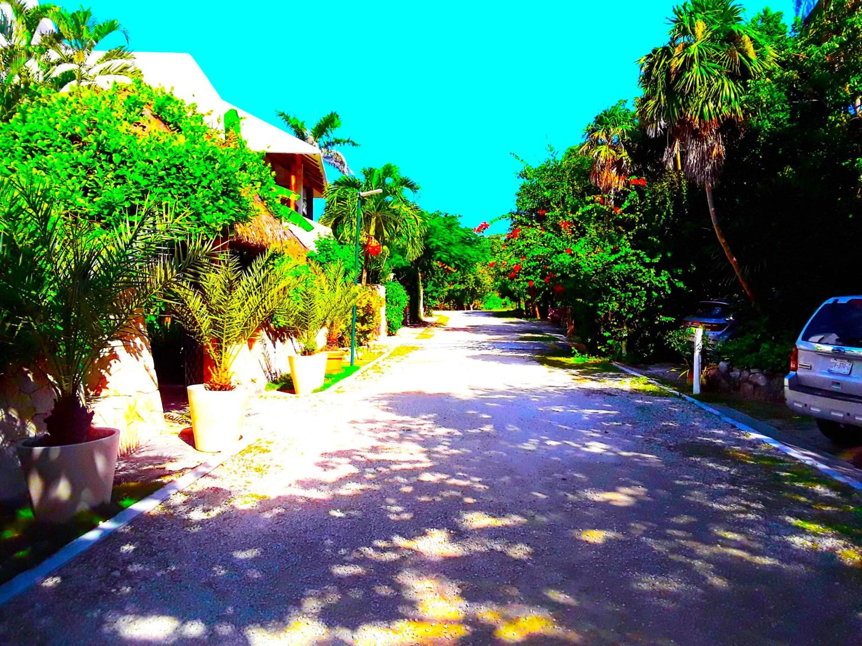 Street view in Casa Gatos