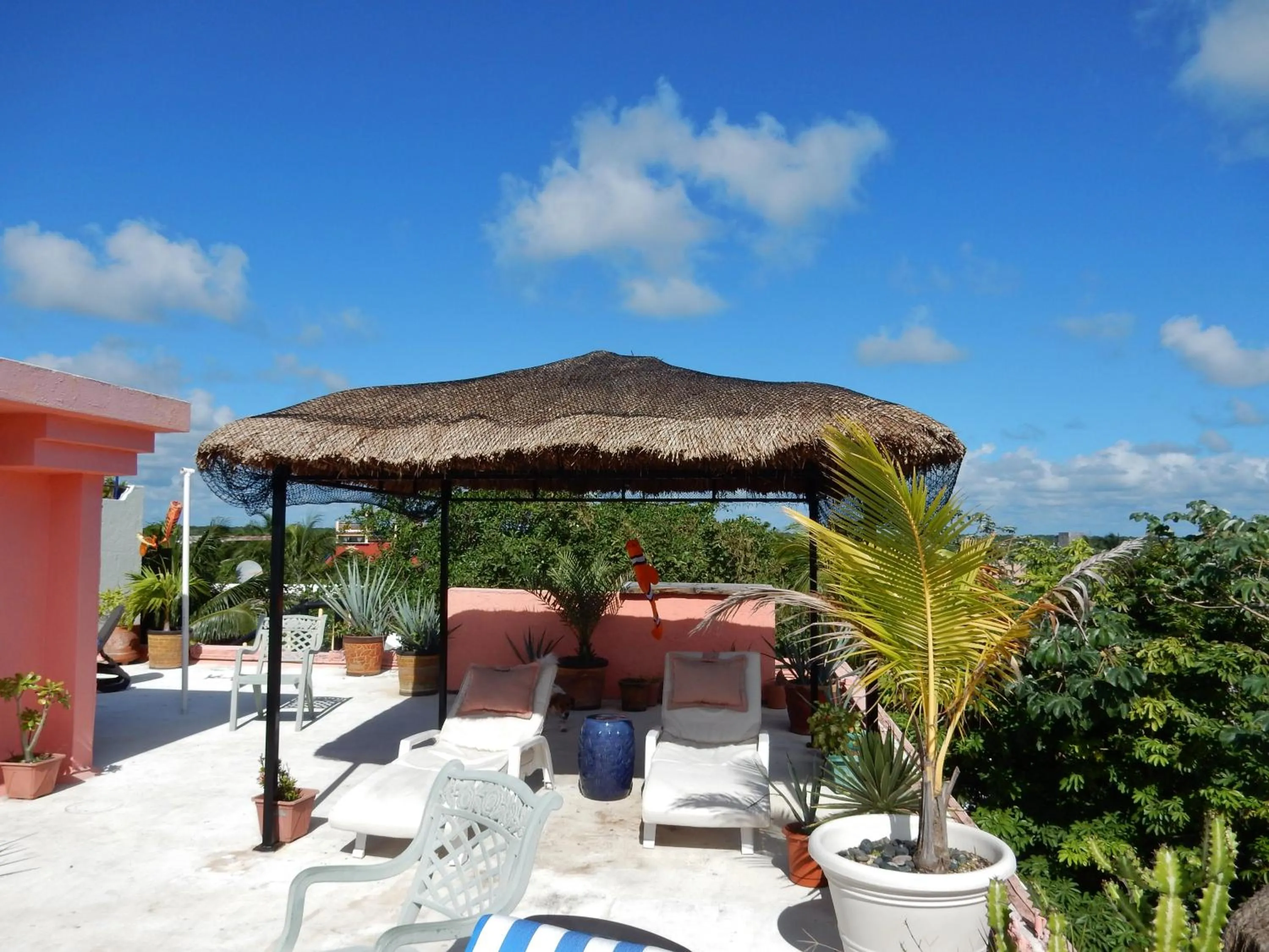 Property building in Casa Gatos