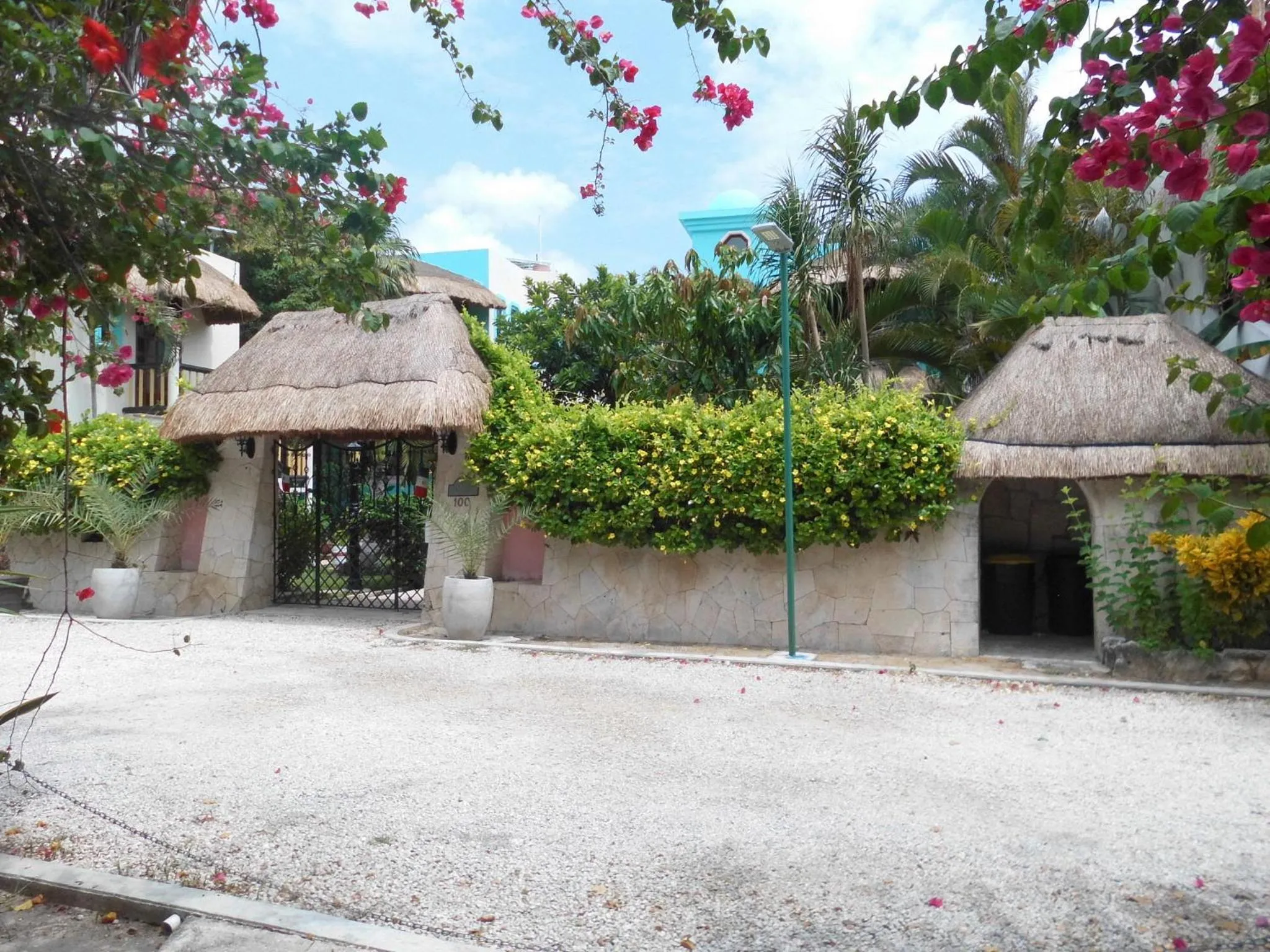 Facade/entrance in Casa Gatos