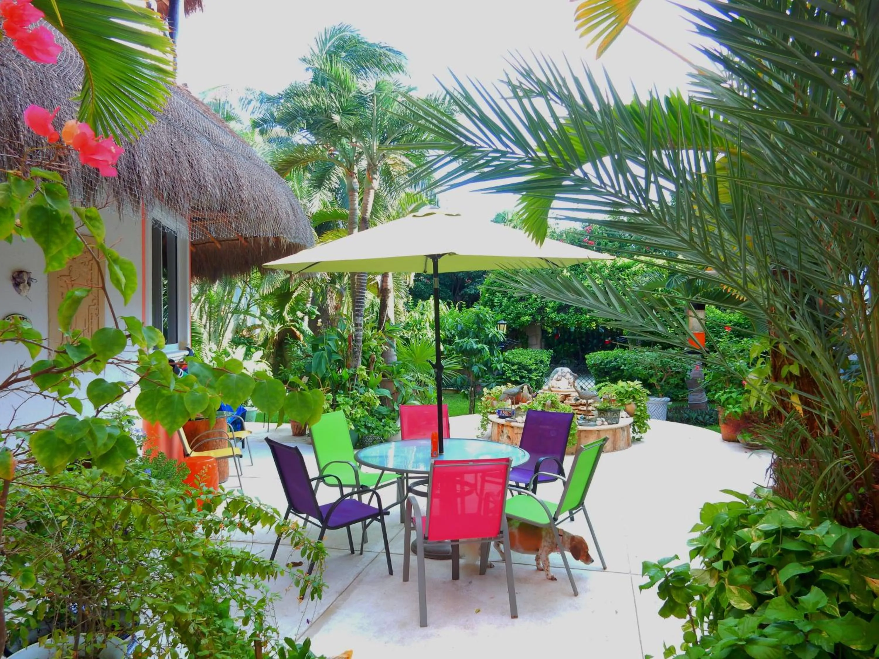 Patio in Casa Gatos