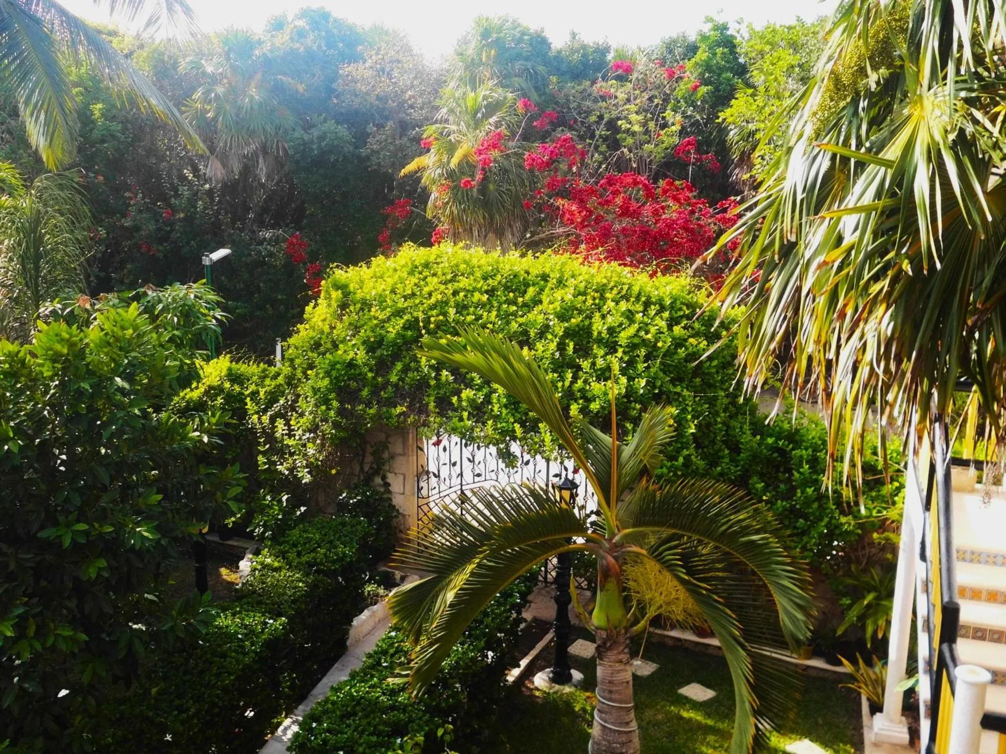 Natural landscape in Casa Gatos