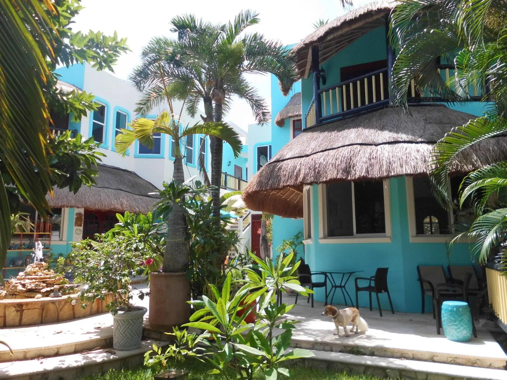 Property building in Casa Gatos