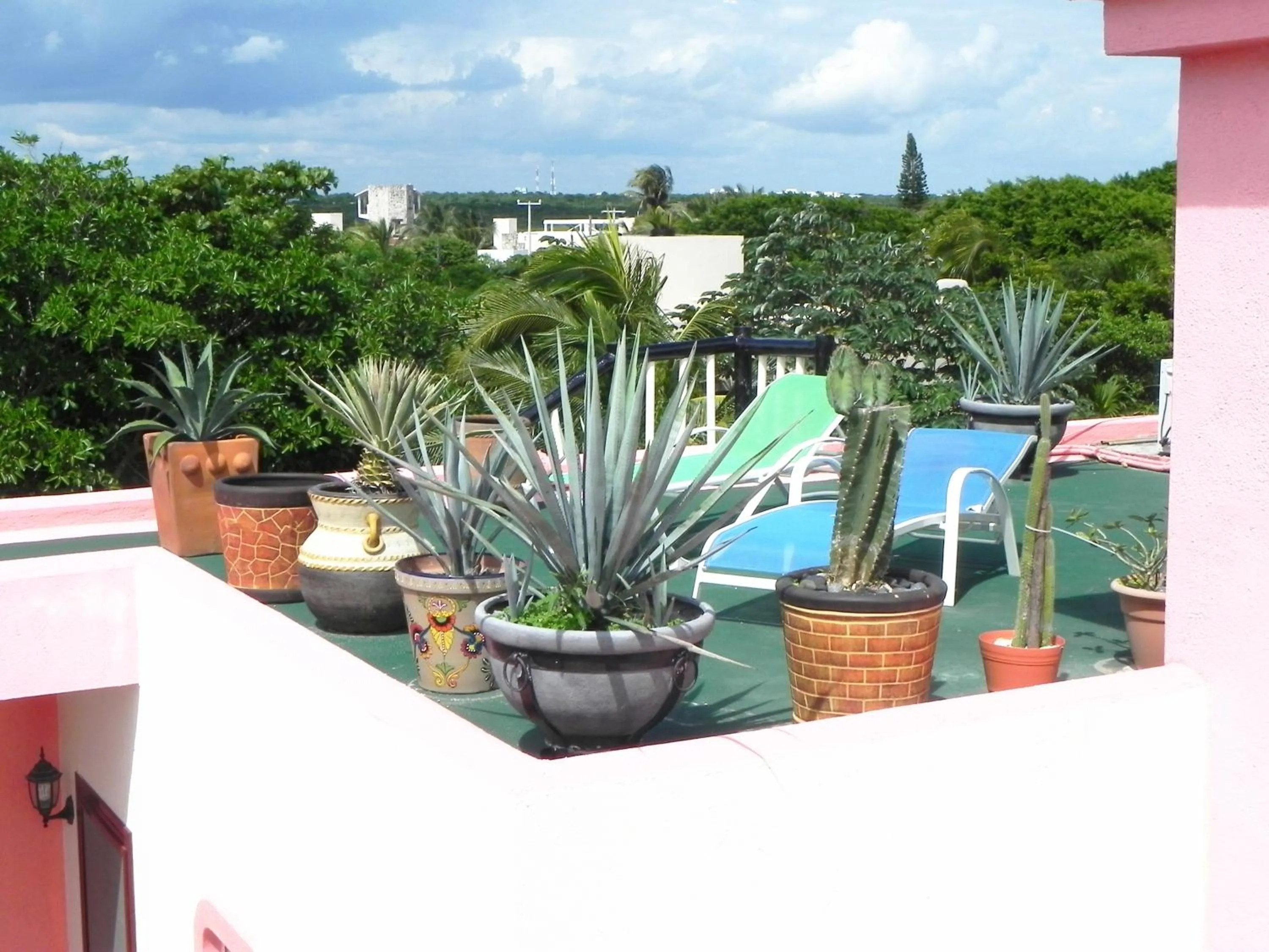 View (from property/room) in Casa Gatos