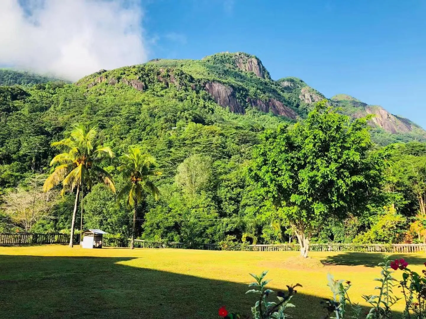 Natural landscape in Blue Hill