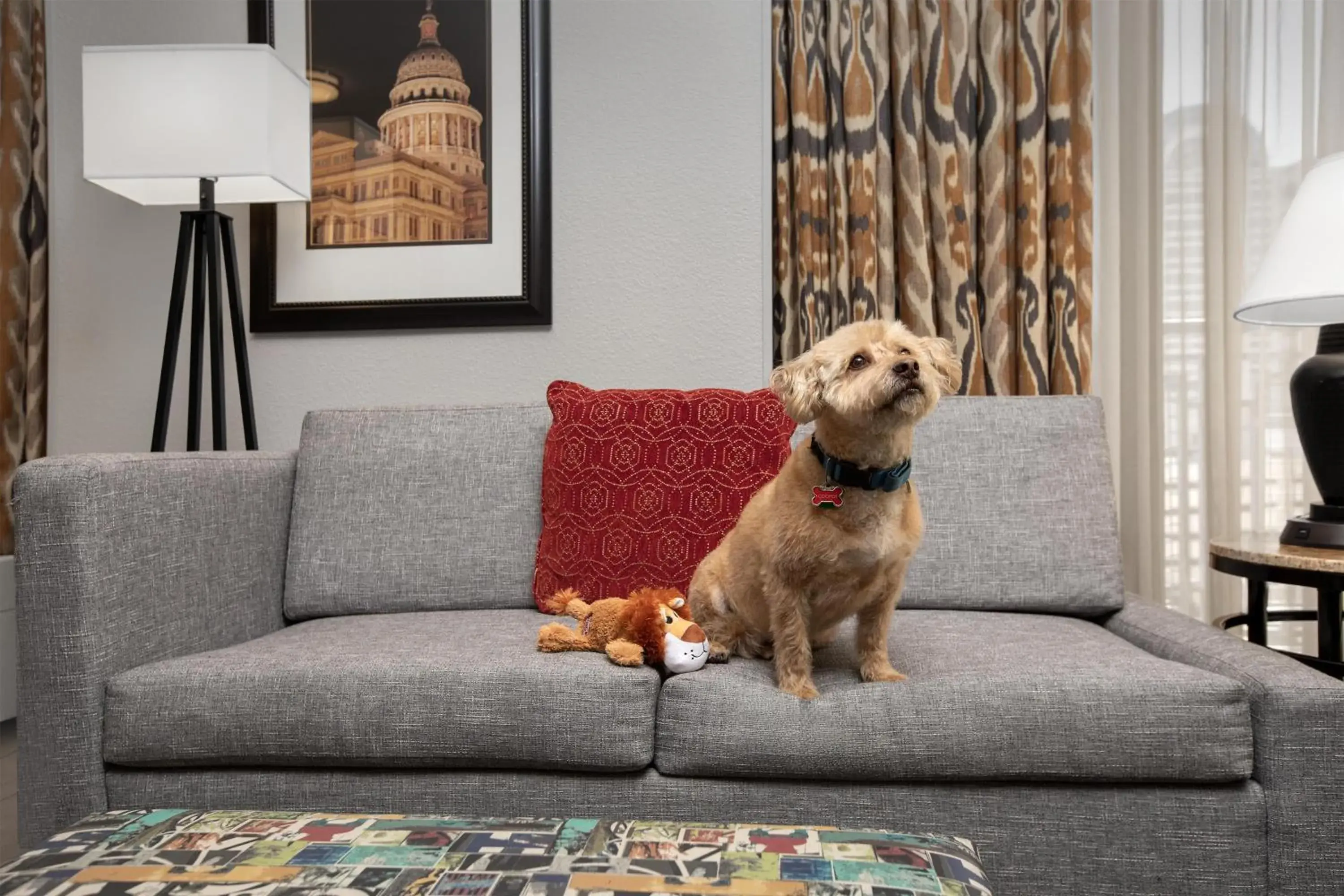 Photo of the whole room in Hampton Inn and Suites Austin University Capitol Photo of the whole room in Hampton Inn and Suites Austin University Capitol