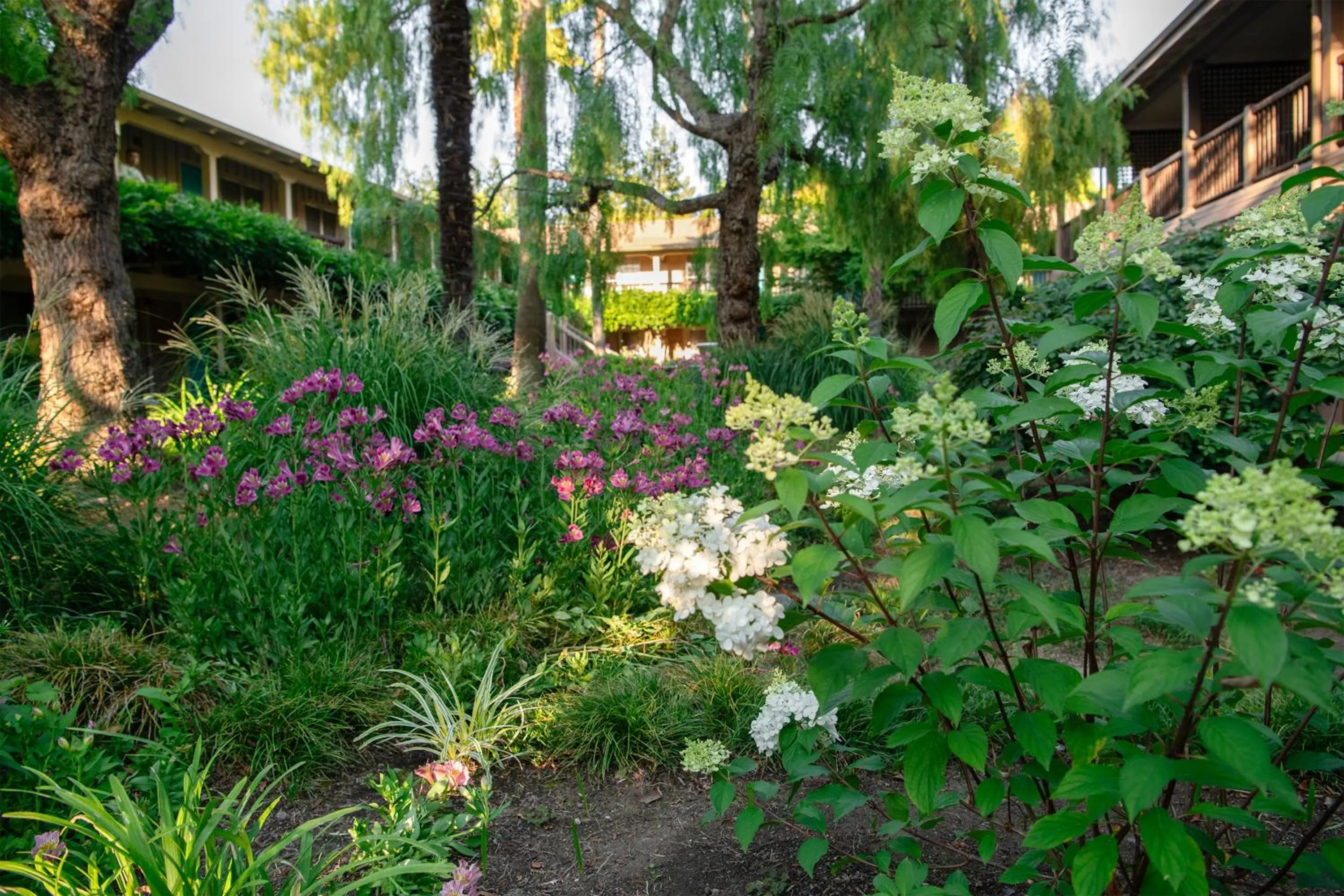 Inner courtyard view in El Pueblo Inn