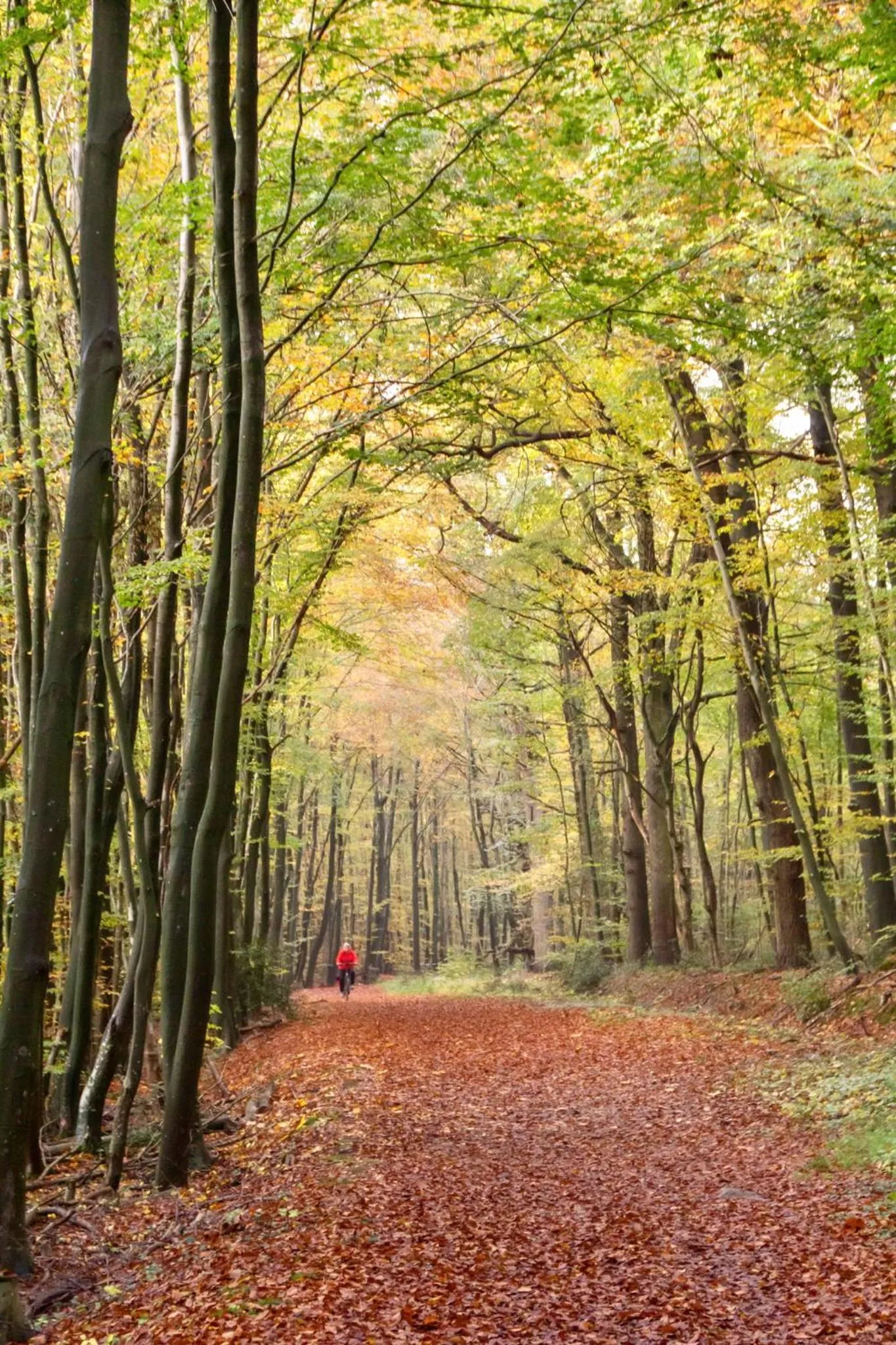 Hiking in Nordenholzer Hofhotel