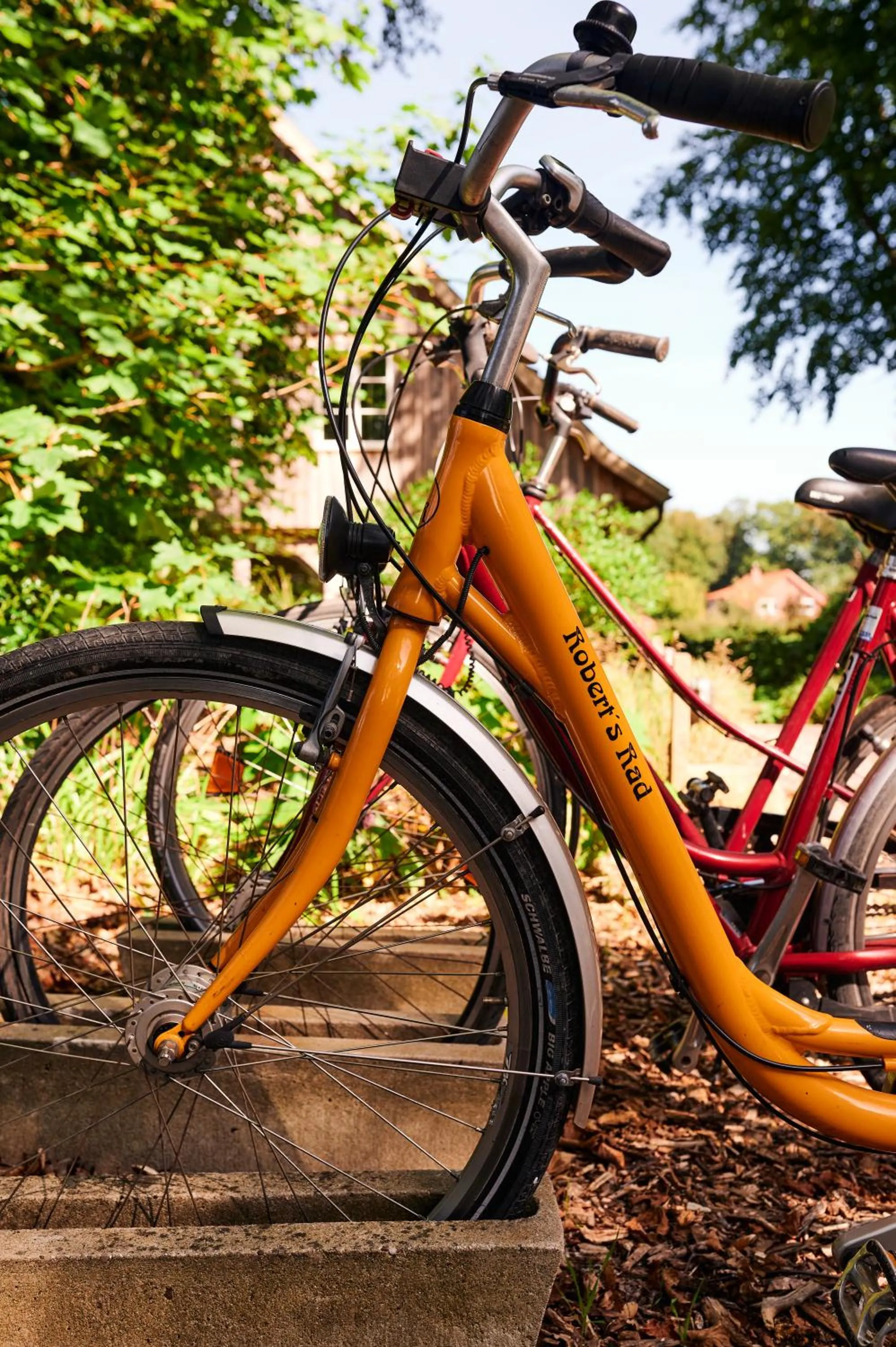 Cycling in Nordenholzer Hofhotel