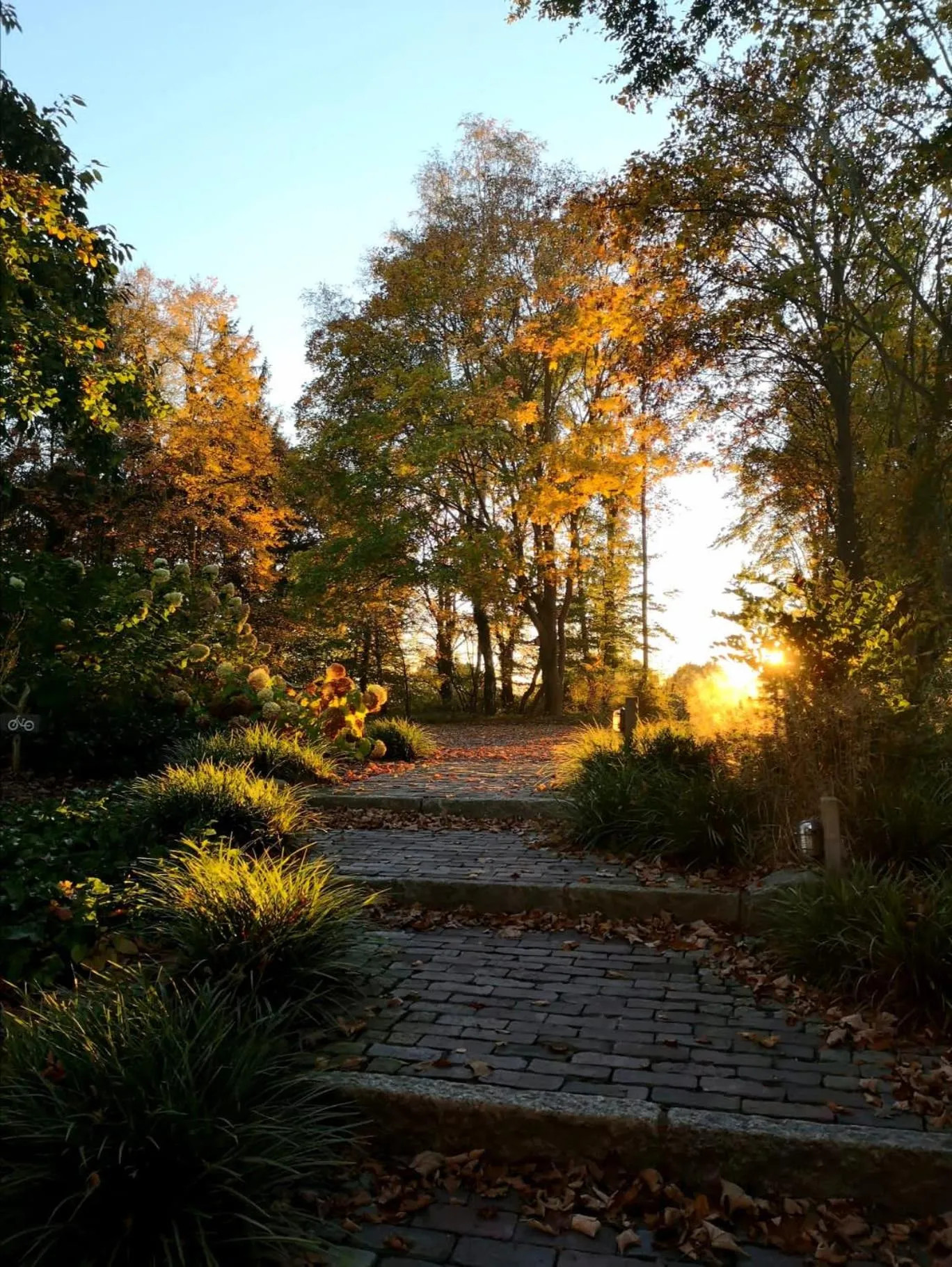 Natural landscape in Nordenholzer Hofhotel
