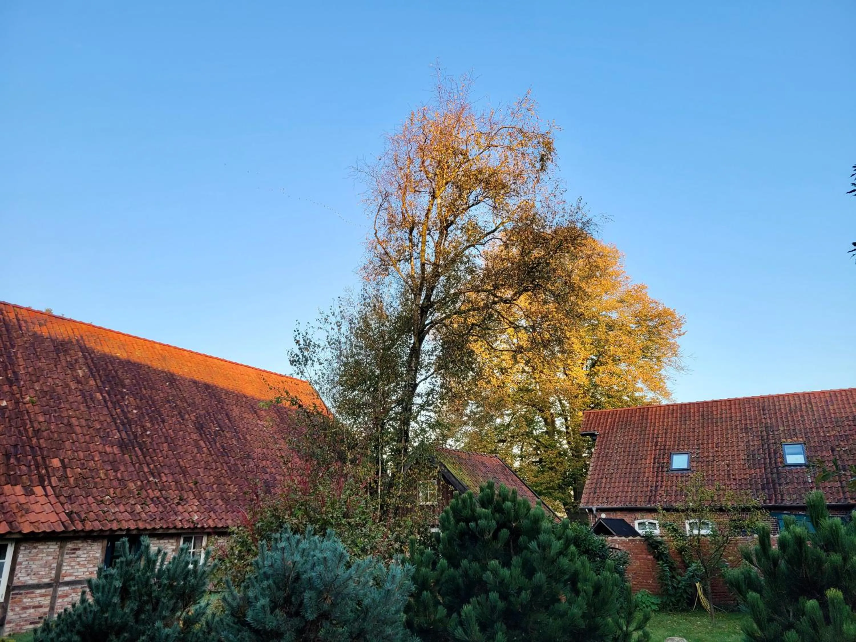 On site in Nordenholzer Hofhotel