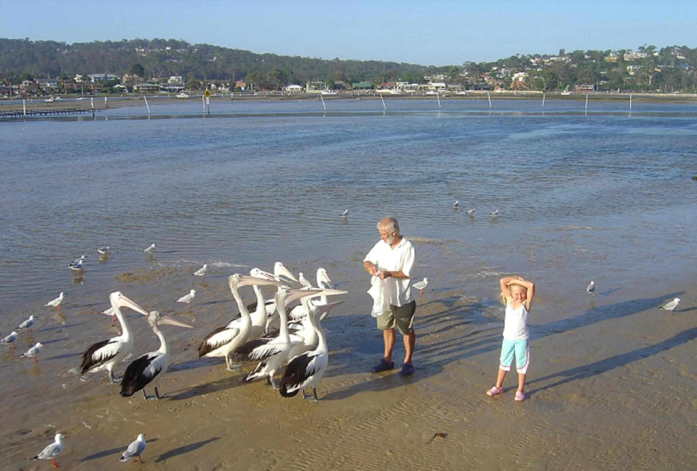 Natural landscape in Nautilus Apartments Merimbula