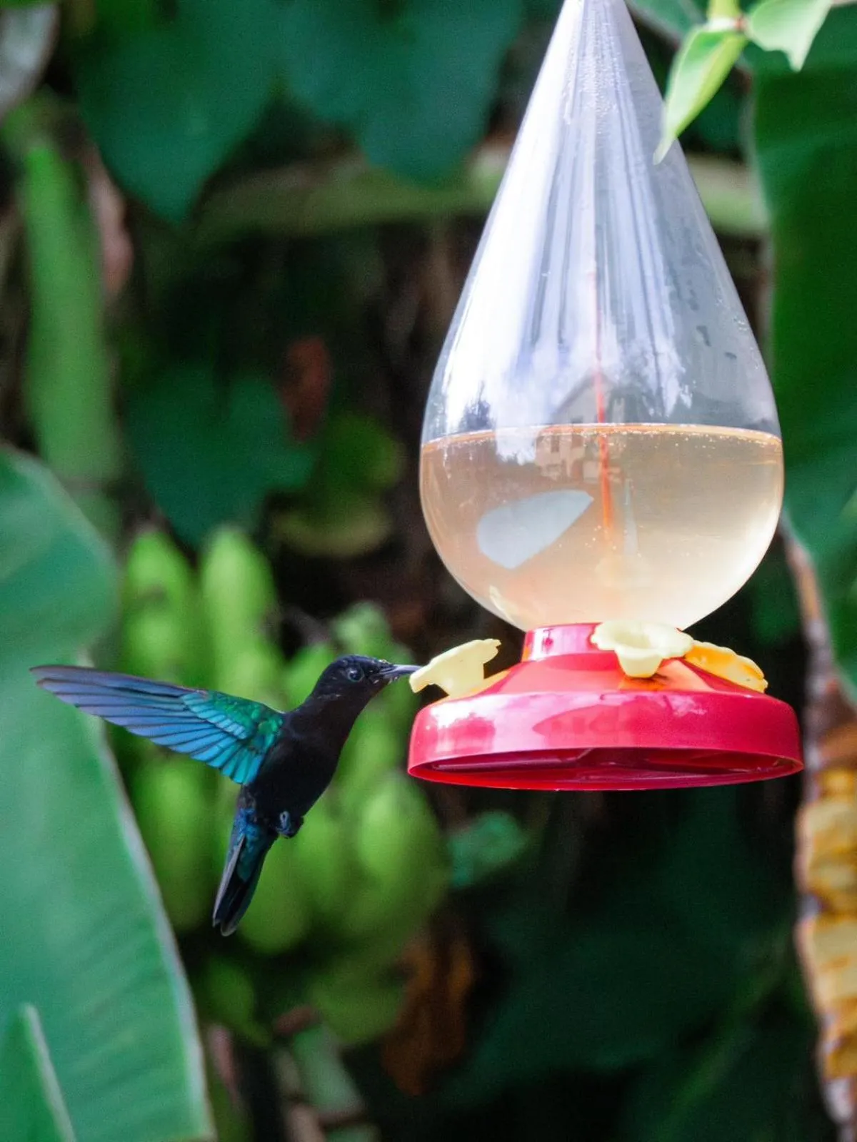 Havre de paix à Fort de France