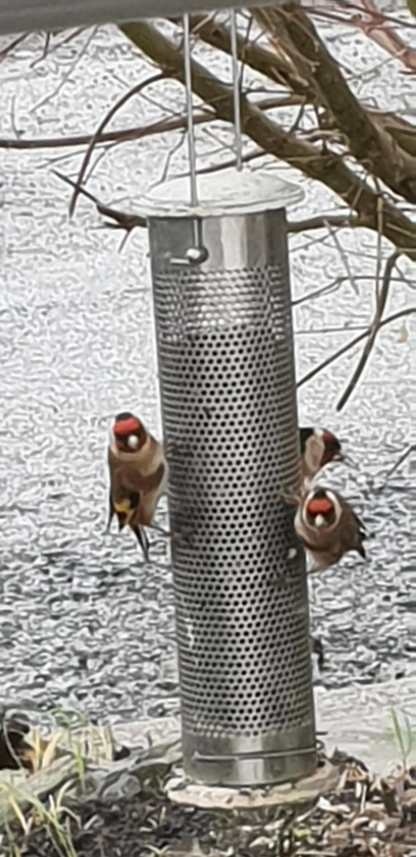 Natural landscape in The Millers Cottage