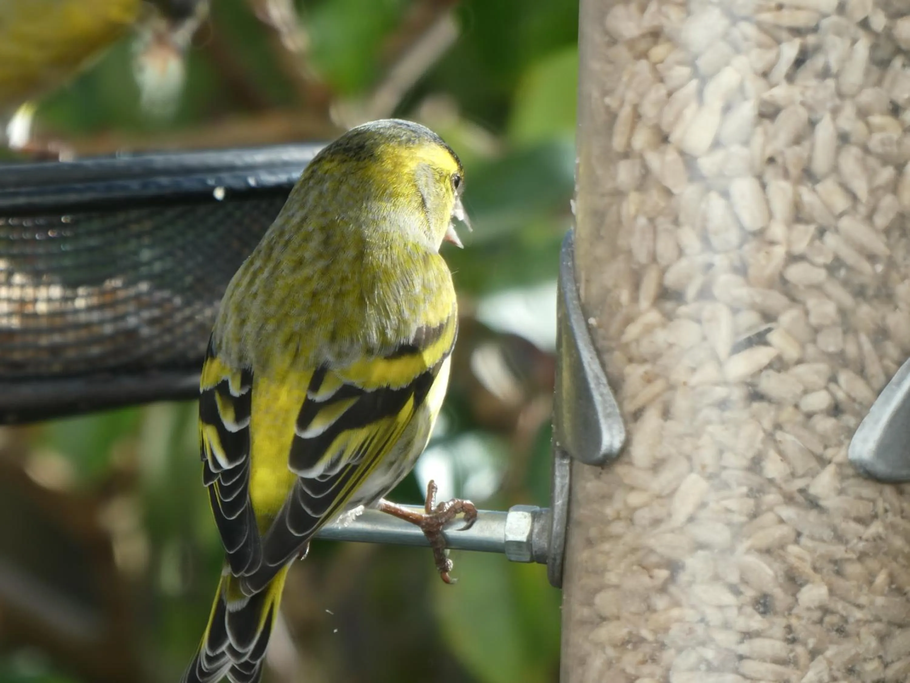 Bird's eye view in The Millers Cottage