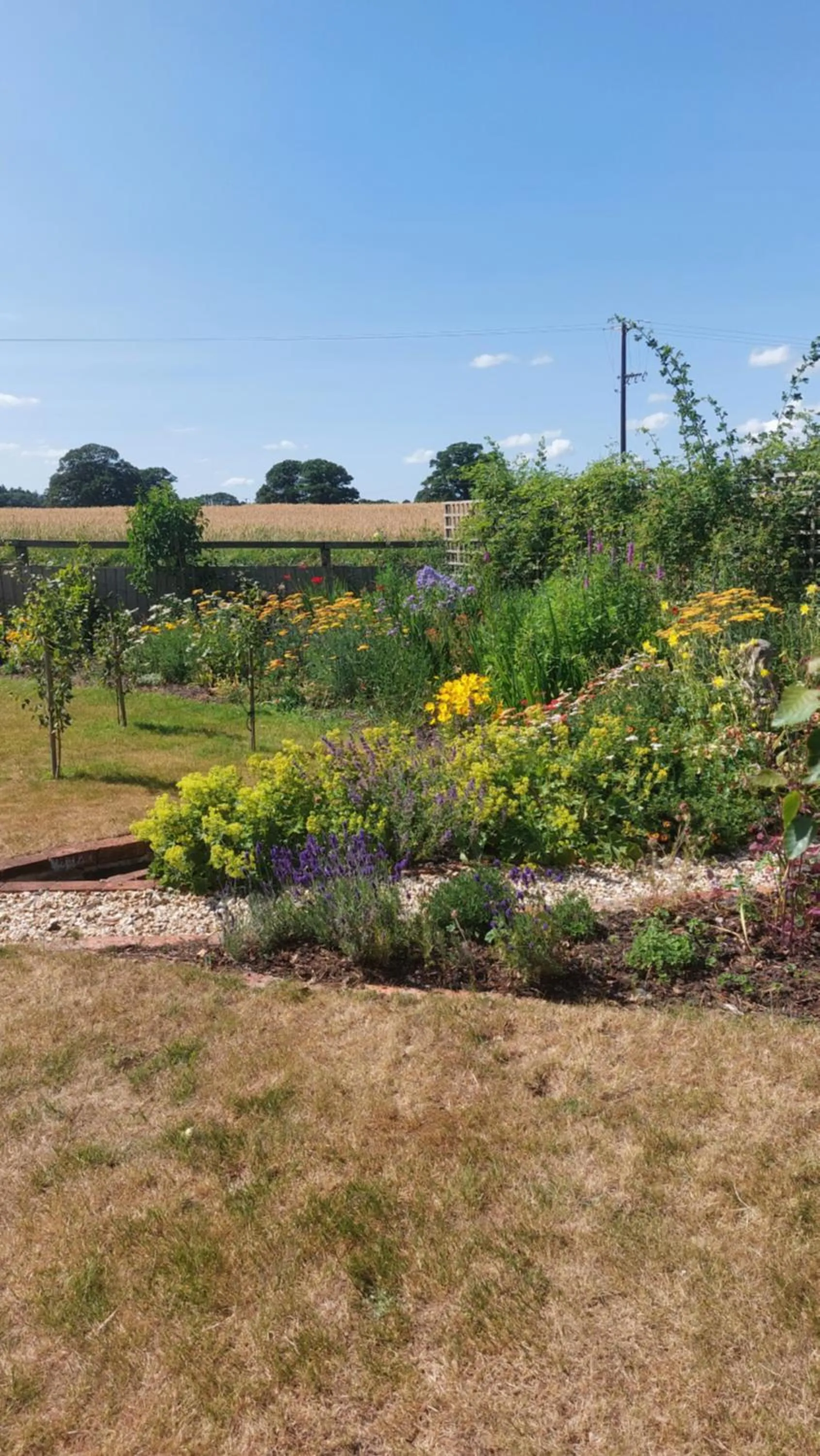 Garden in The Millers Cottage