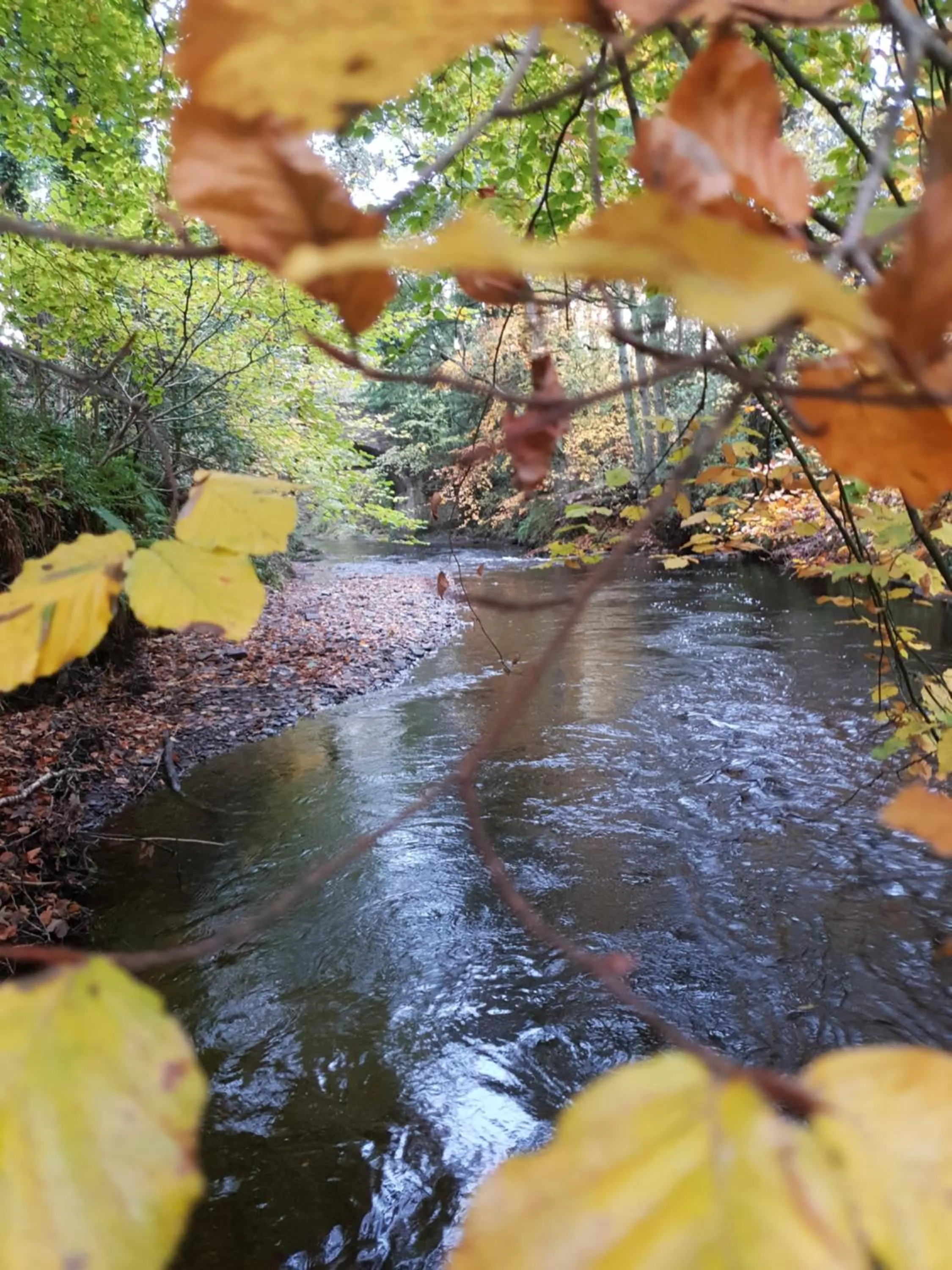 Garden in The Millers Cottage
