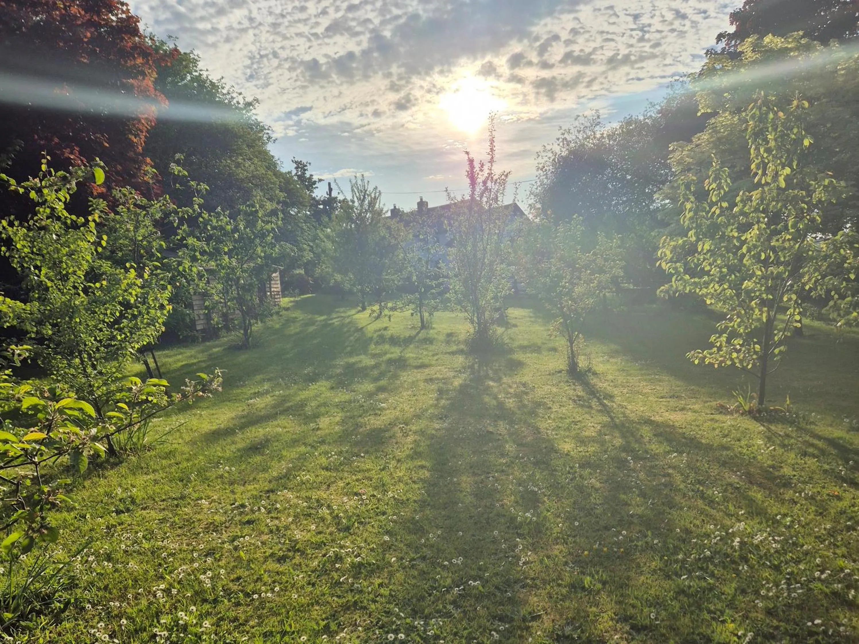 Garden view in The Millers Cottage