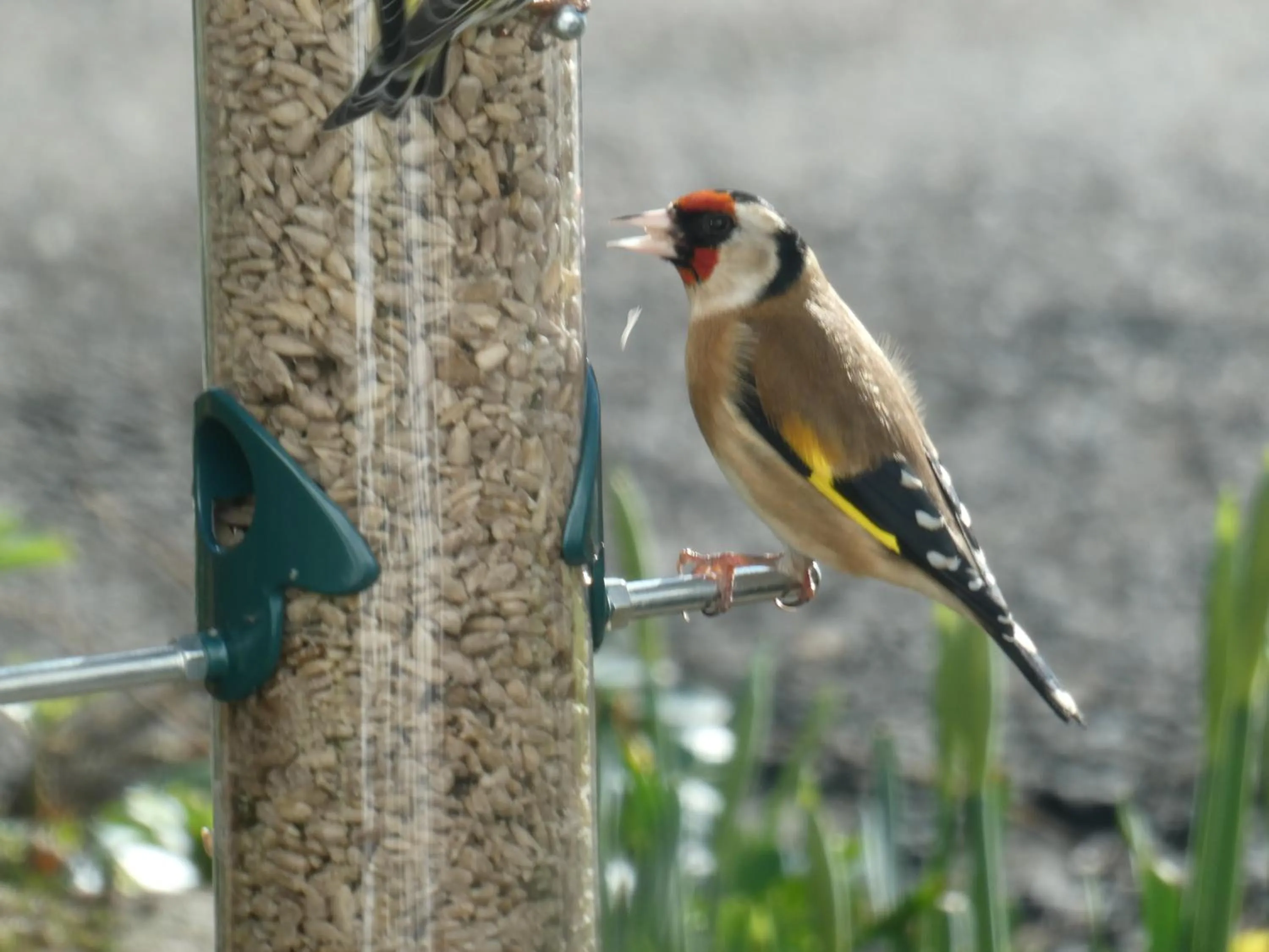 Bird's eye view in The Millers Cottage