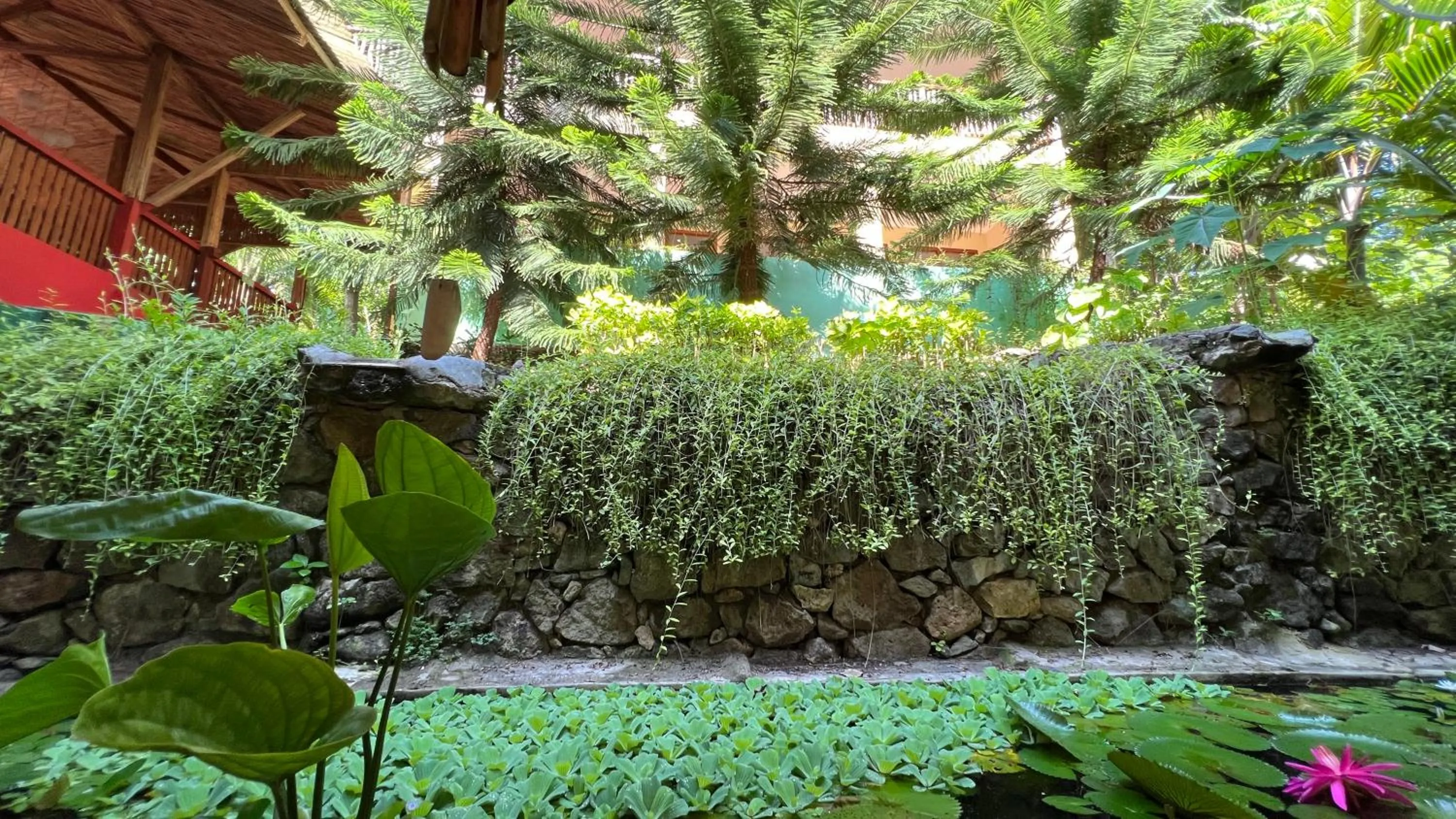 Centro Bajo Hotel & Resto