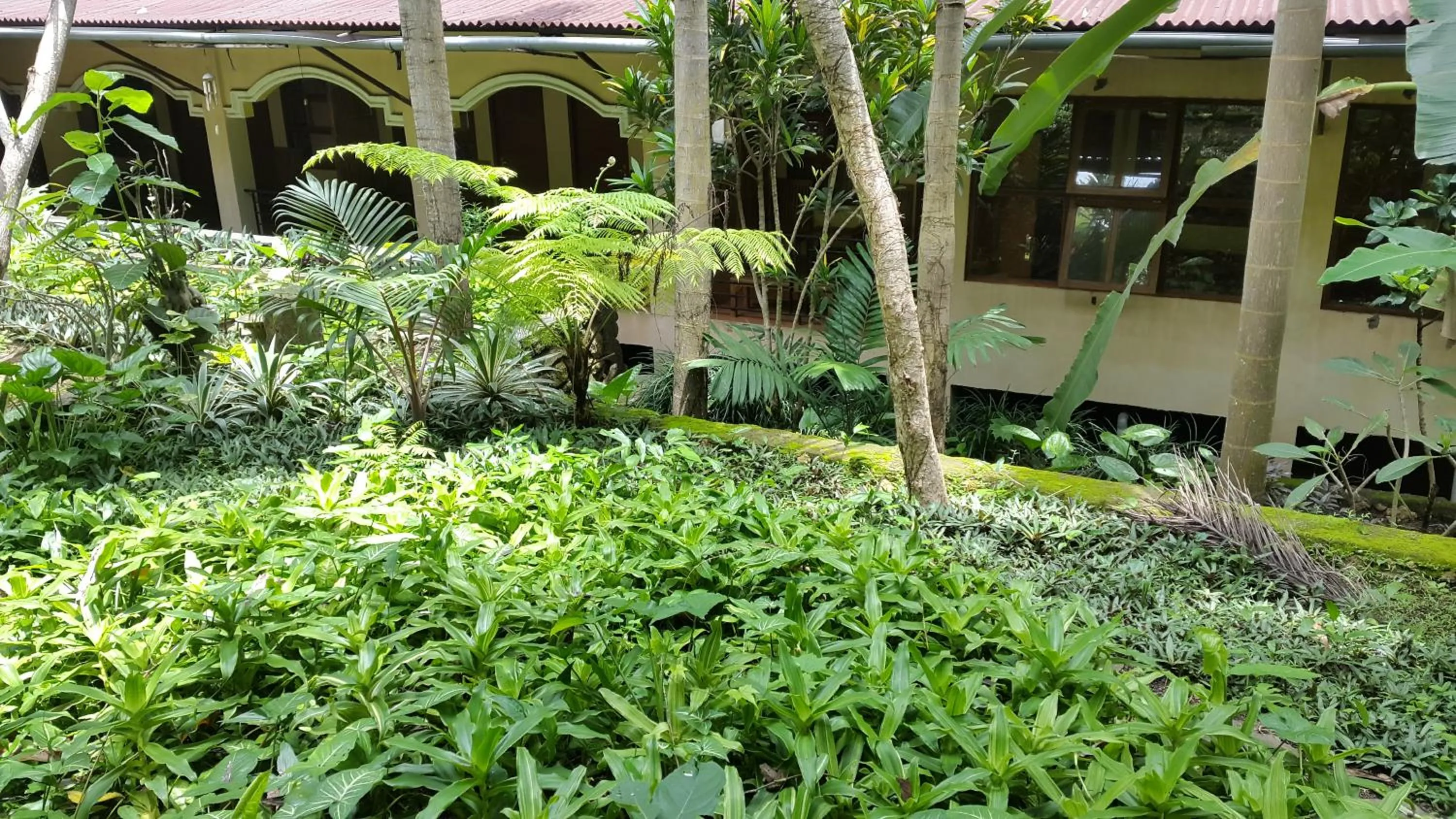 Centro Bajo Hotel & Resto