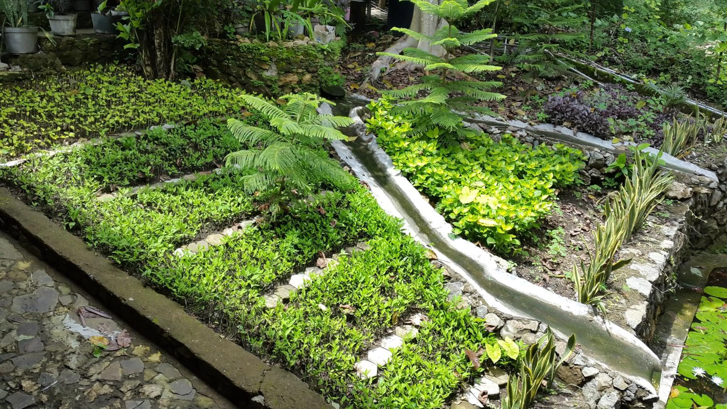 Centro Bajo Hotel & Resto