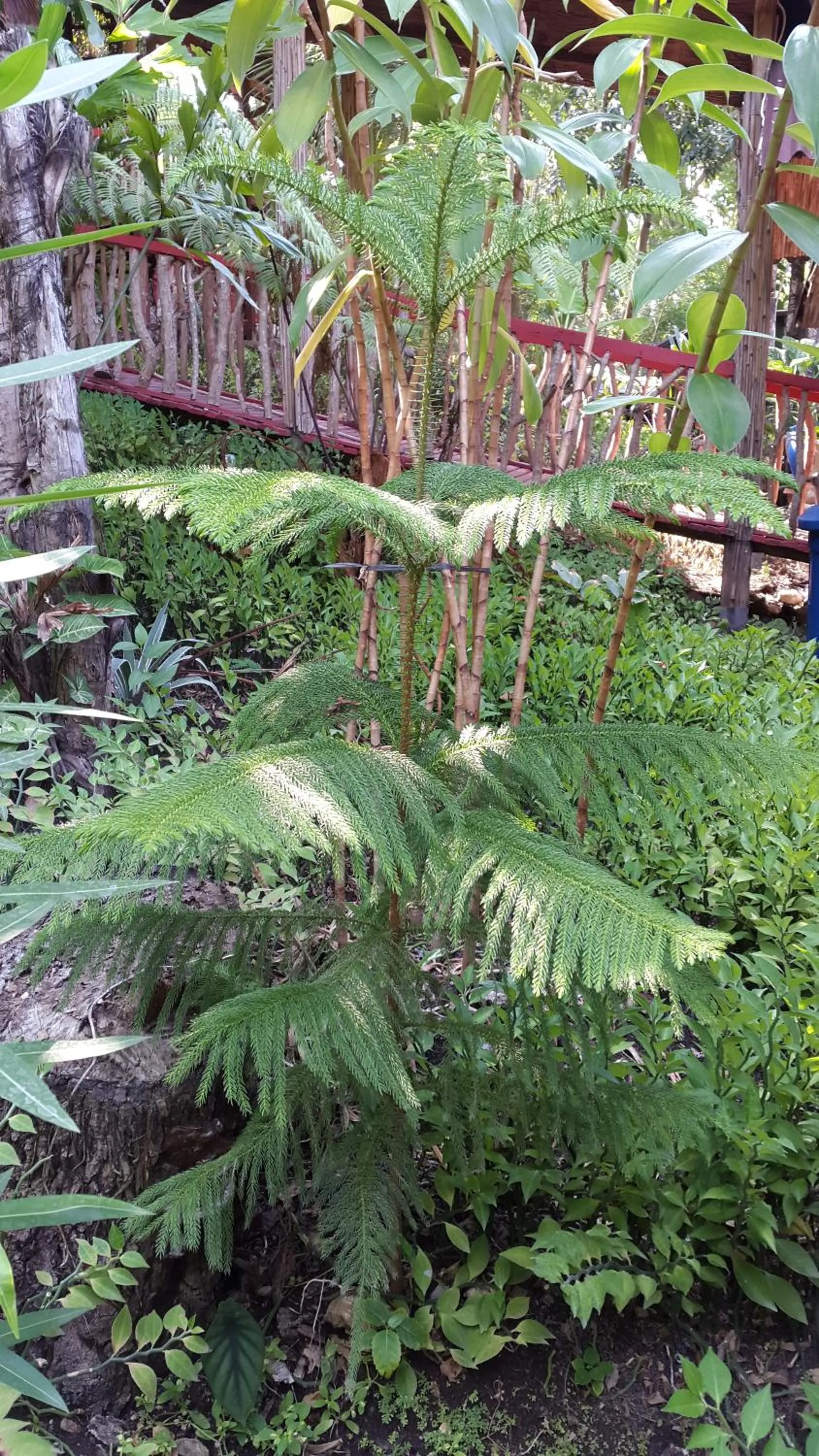 Centro Bajo Hotel & Resto