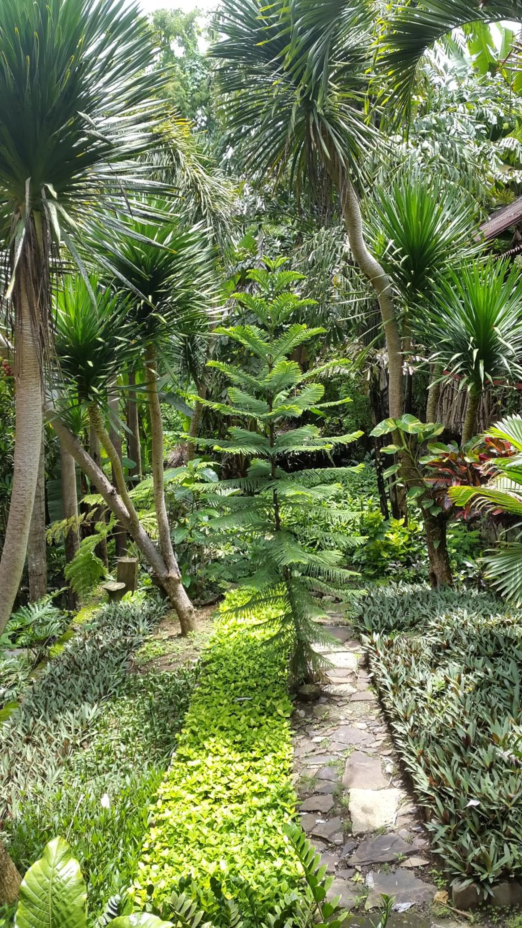 Centro Bajo Hotel & Resto