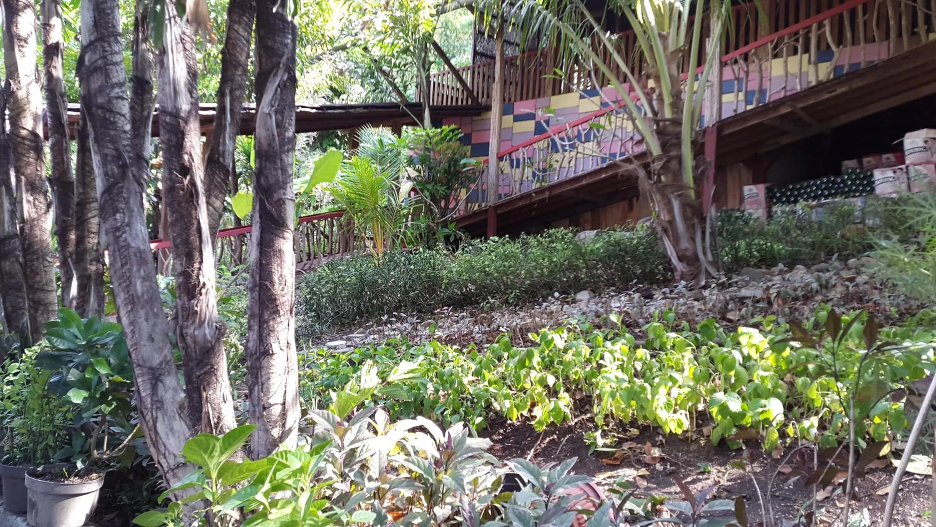 Centro Bajo Hotel & Resto