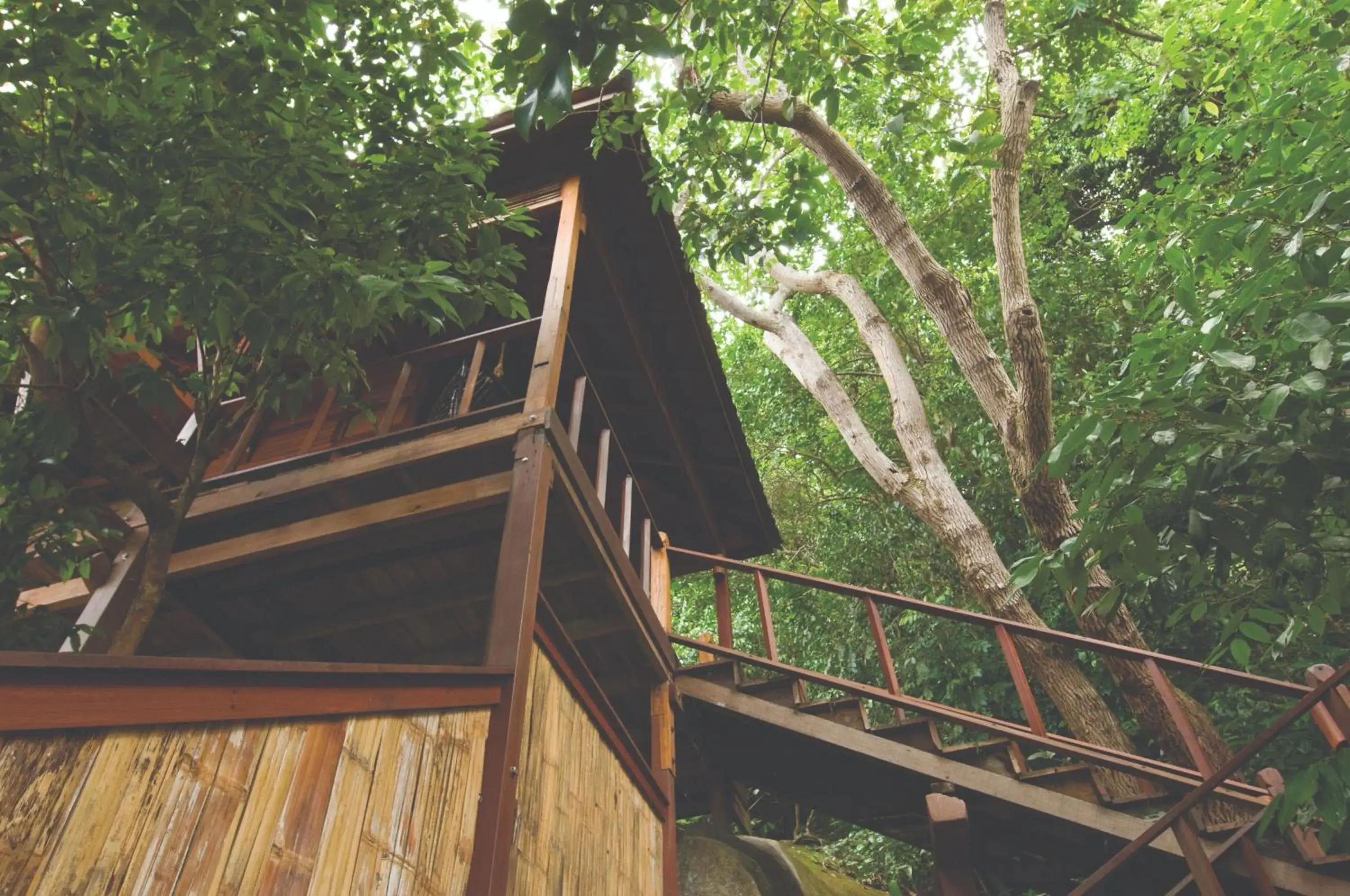 Treetop Chalet (with Balcony and Rainforest View) in Japamala Resort by Samadhi Age 12 and Above Only Treetop Chalet (with Balcony and Rainforest View) in Japamala Resort by Samadhi Age 12 and Above Only