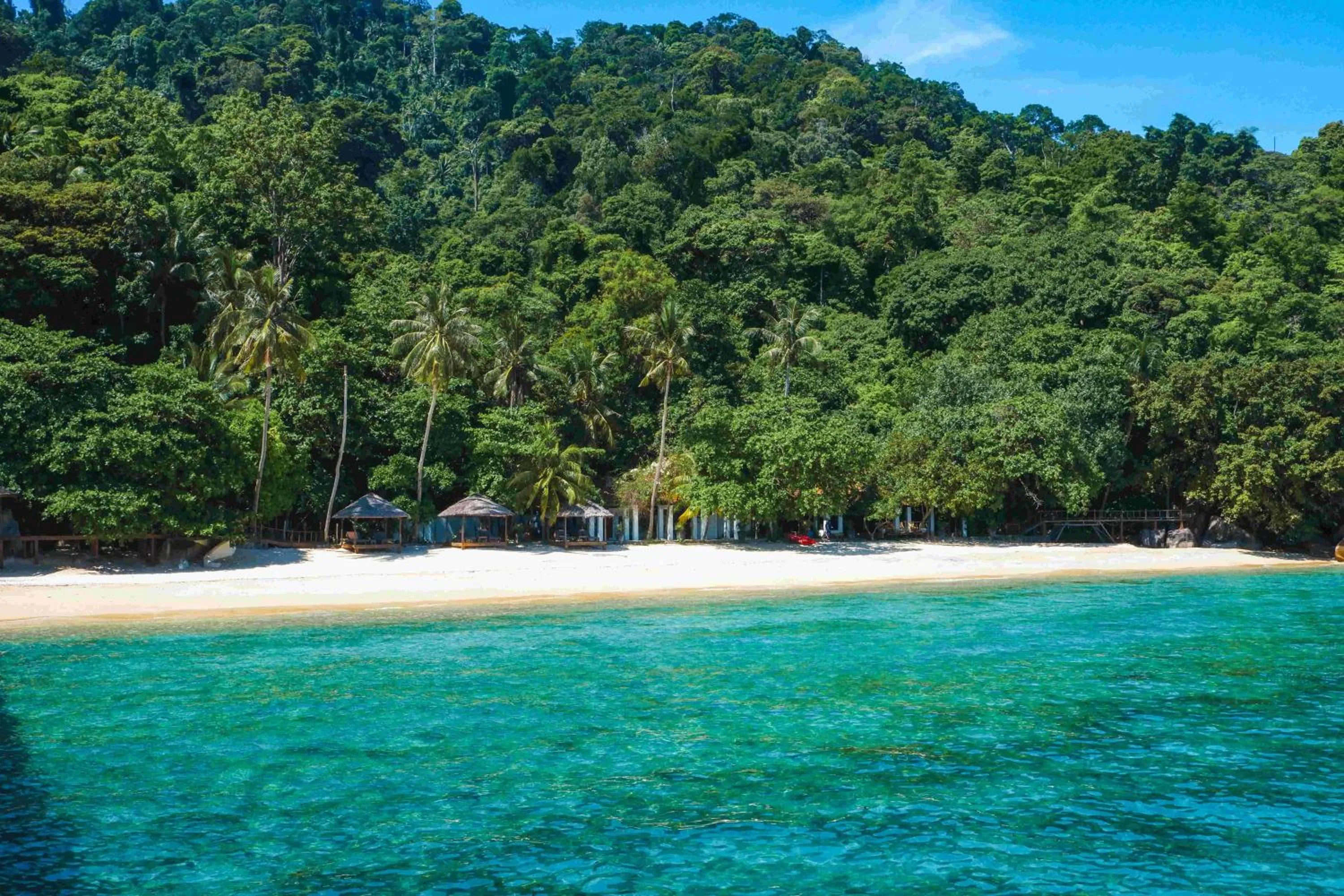 Natural landscape in Japamala Resort by Samadhi Age 12 and Above Only