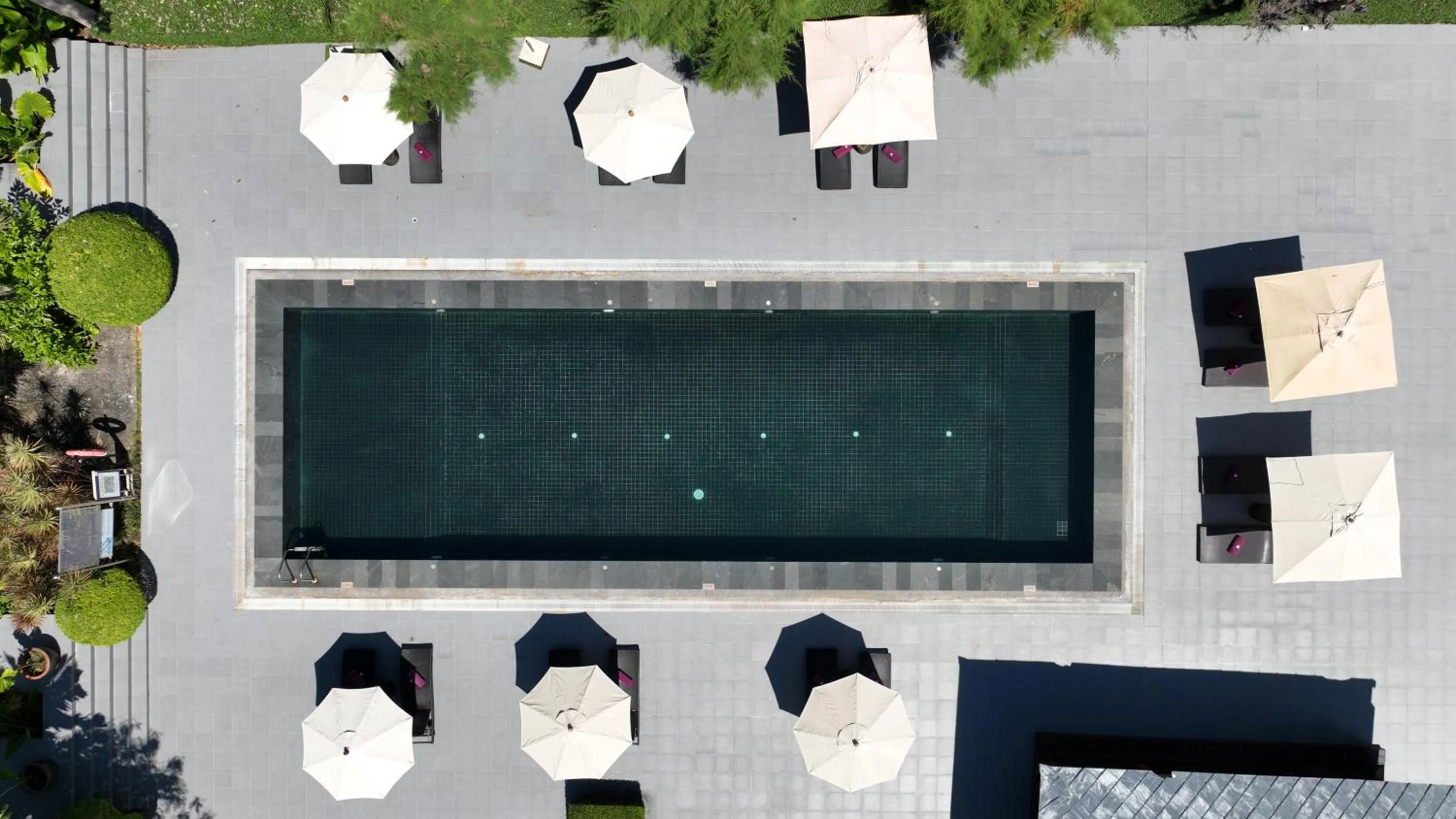 Swimming pool in Twin Lotus Resort and Spa - SHA Plus - Adult Only "November - April"