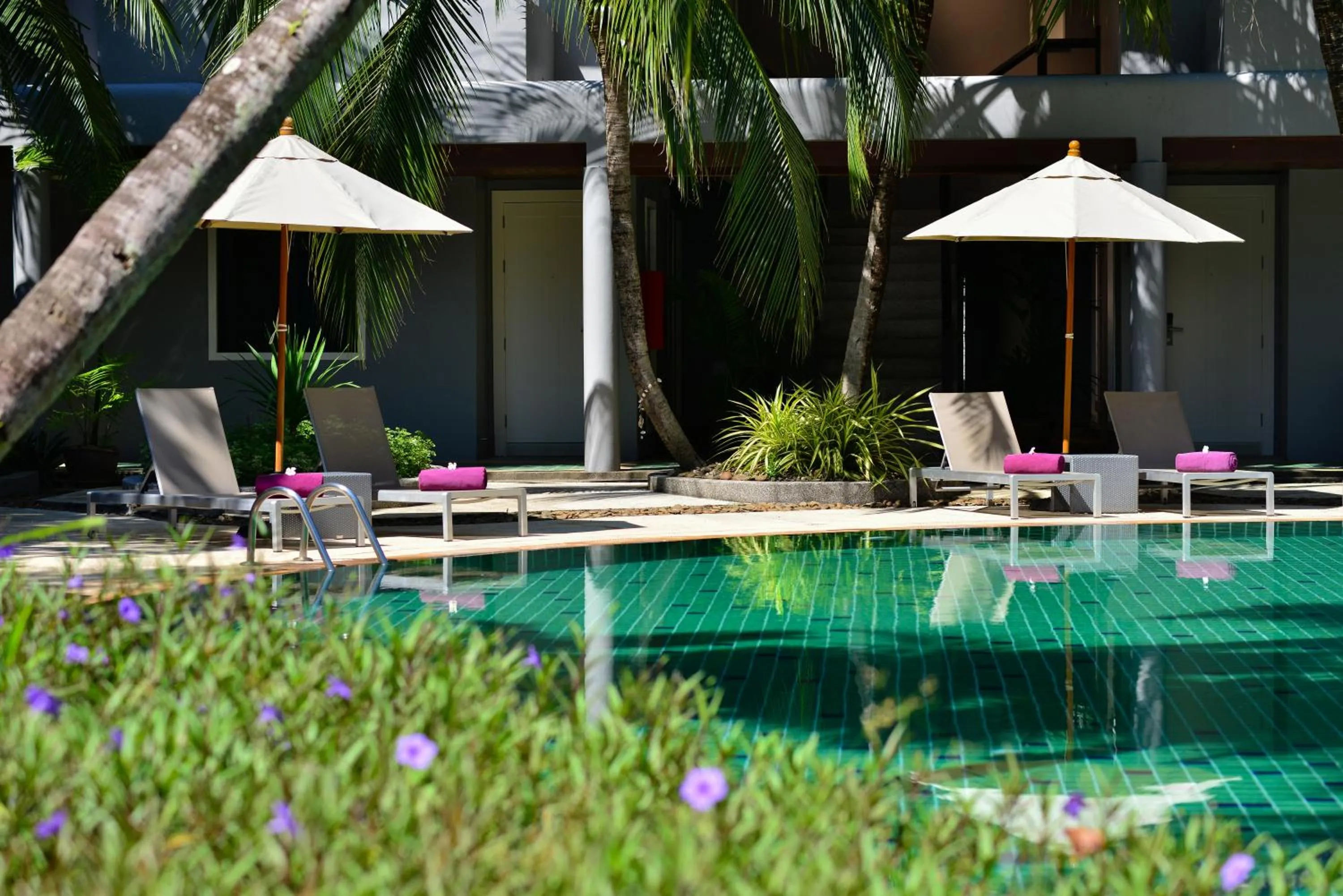 Swimming pool in Twin Lotus Resort and Spa - SHA Plus - Adult Only "November - April"