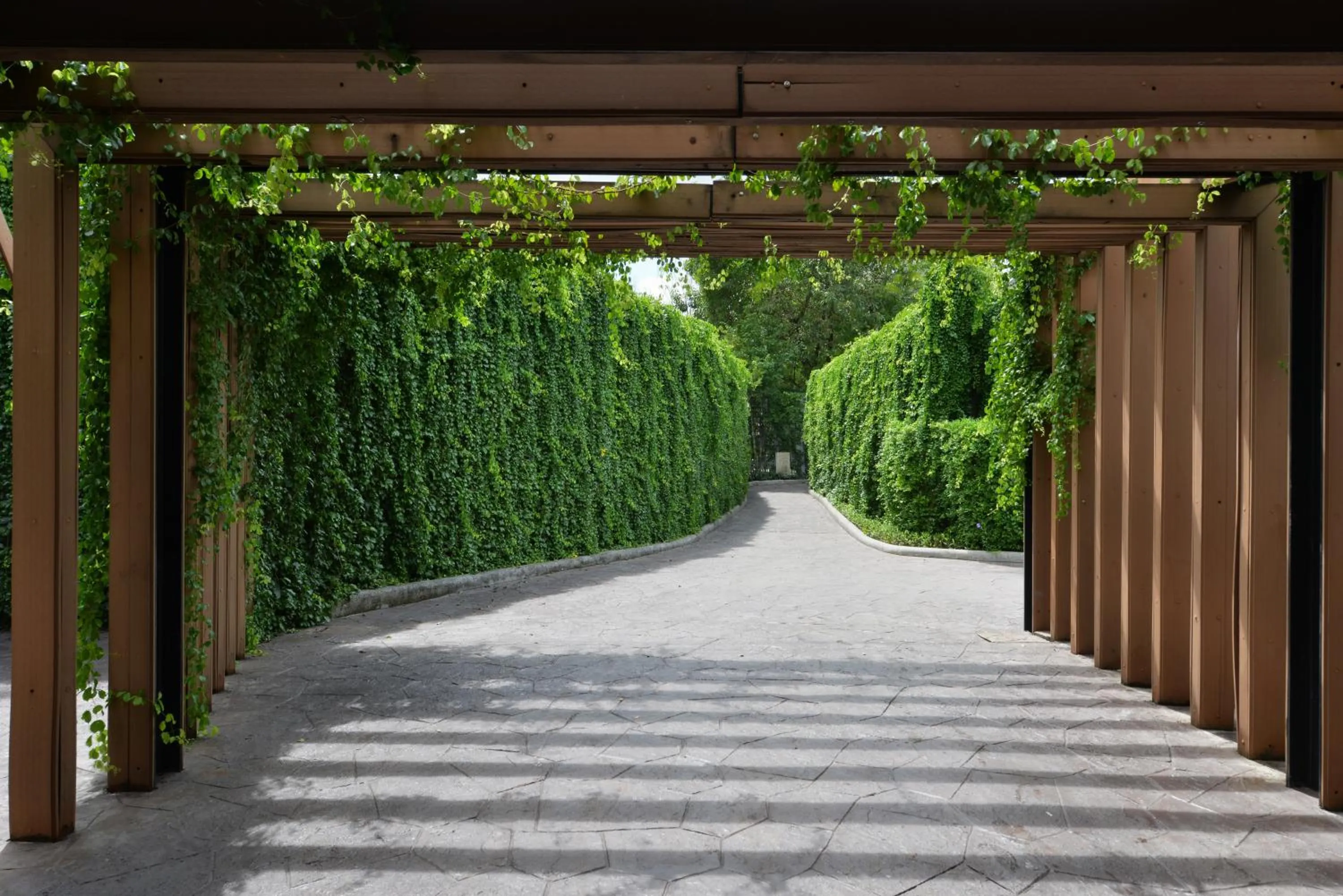 Natural landscape in Twin Lotus Resort and Spa - SHA Plus - Adult Only "November - April"