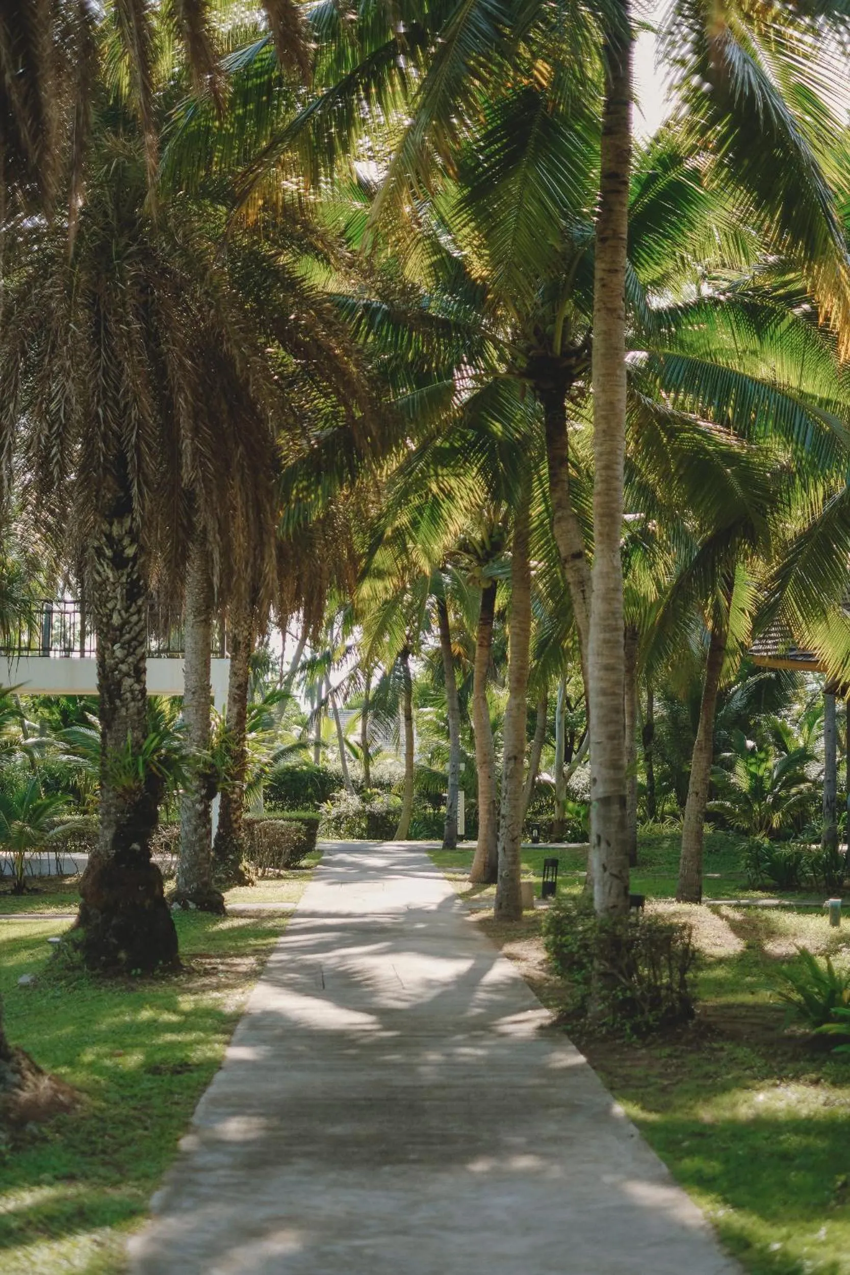 Garden in Twin Lotus Resort and Spa - SHA Plus - Adult Only "November - April"