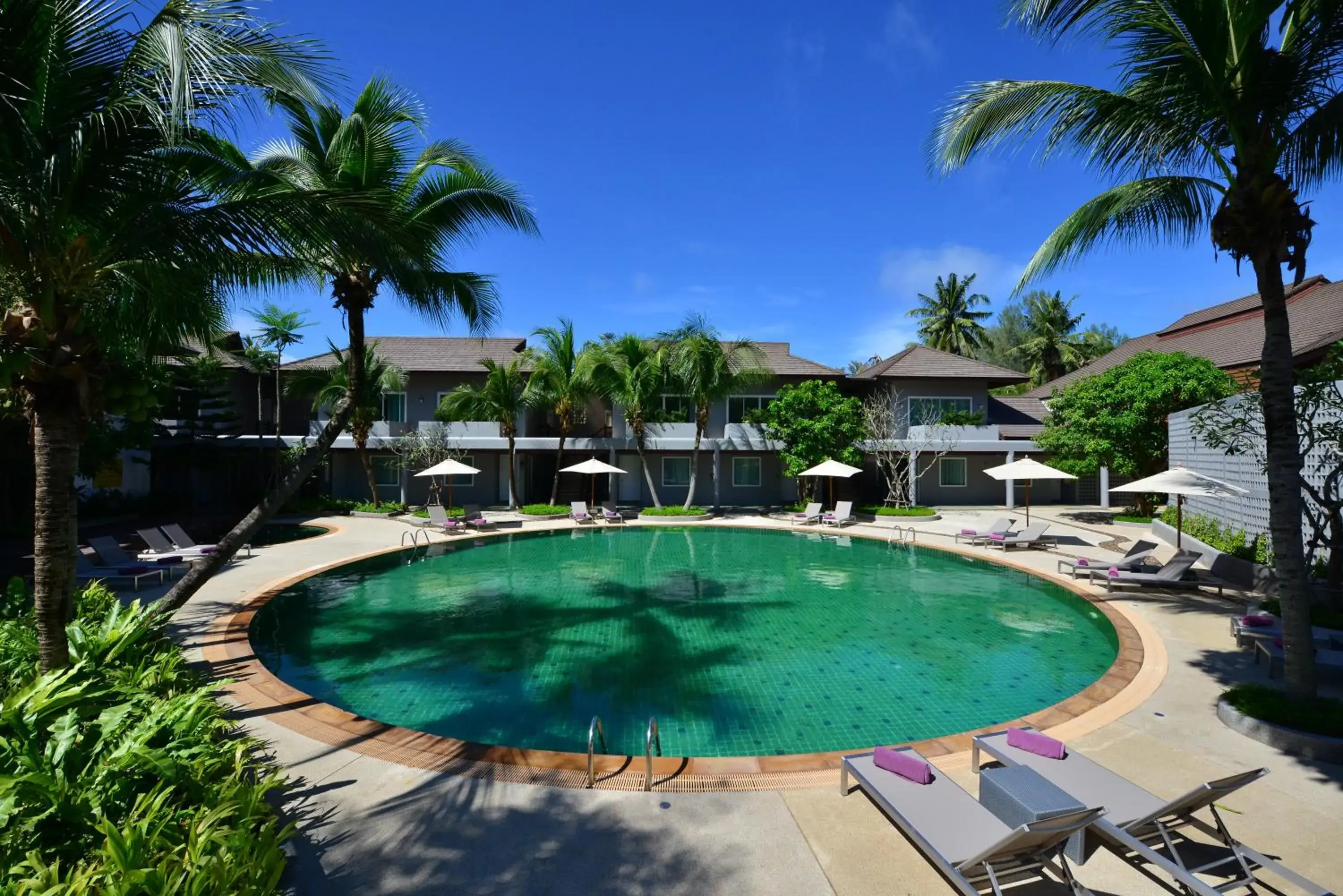 Pool view in Twin Lotus Resort and Spa - SHA Plus - Adult Only "November - April" Pool view in Twin Lotus Resort and Spa - SHA Plus - Adult Only "November - April"