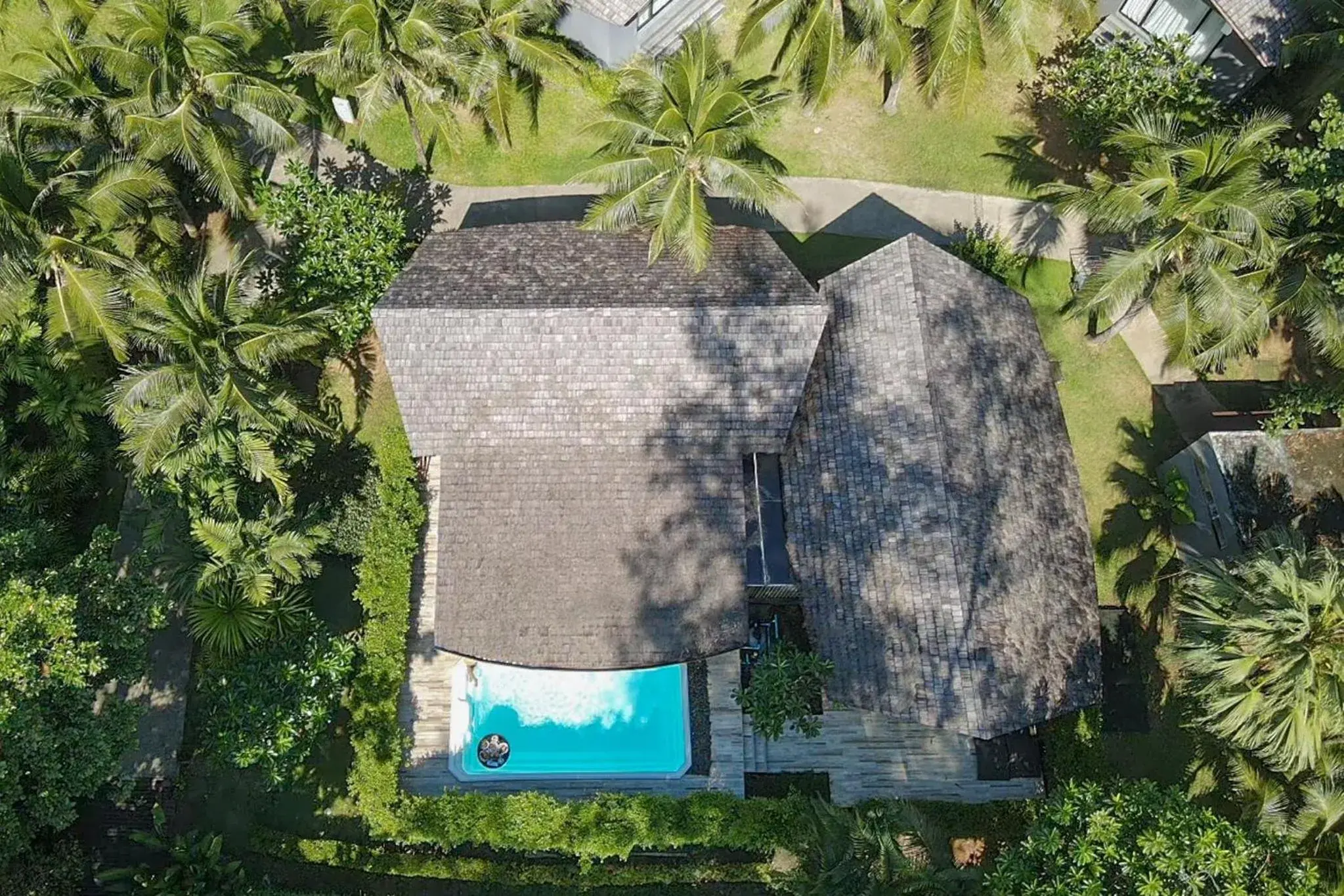 Pool view in Twin Lotus Resort and Spa - SHA Plus - Adult Only "November - April" Pool view in Twin Lotus Resort and Spa - SHA Plus - Adult Only "November - April"