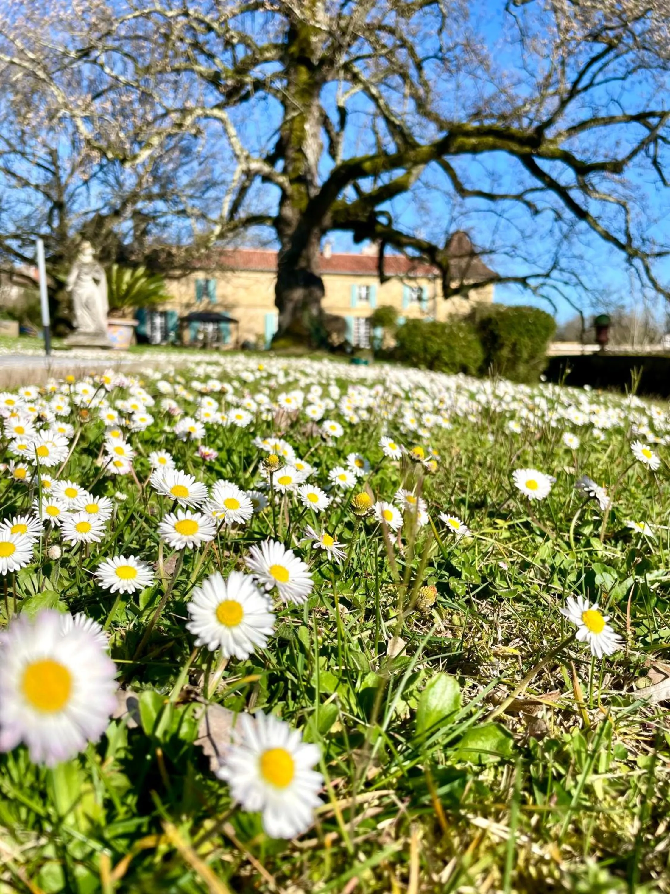 Property building in La Rebière d'Or, B&B et Gîte
