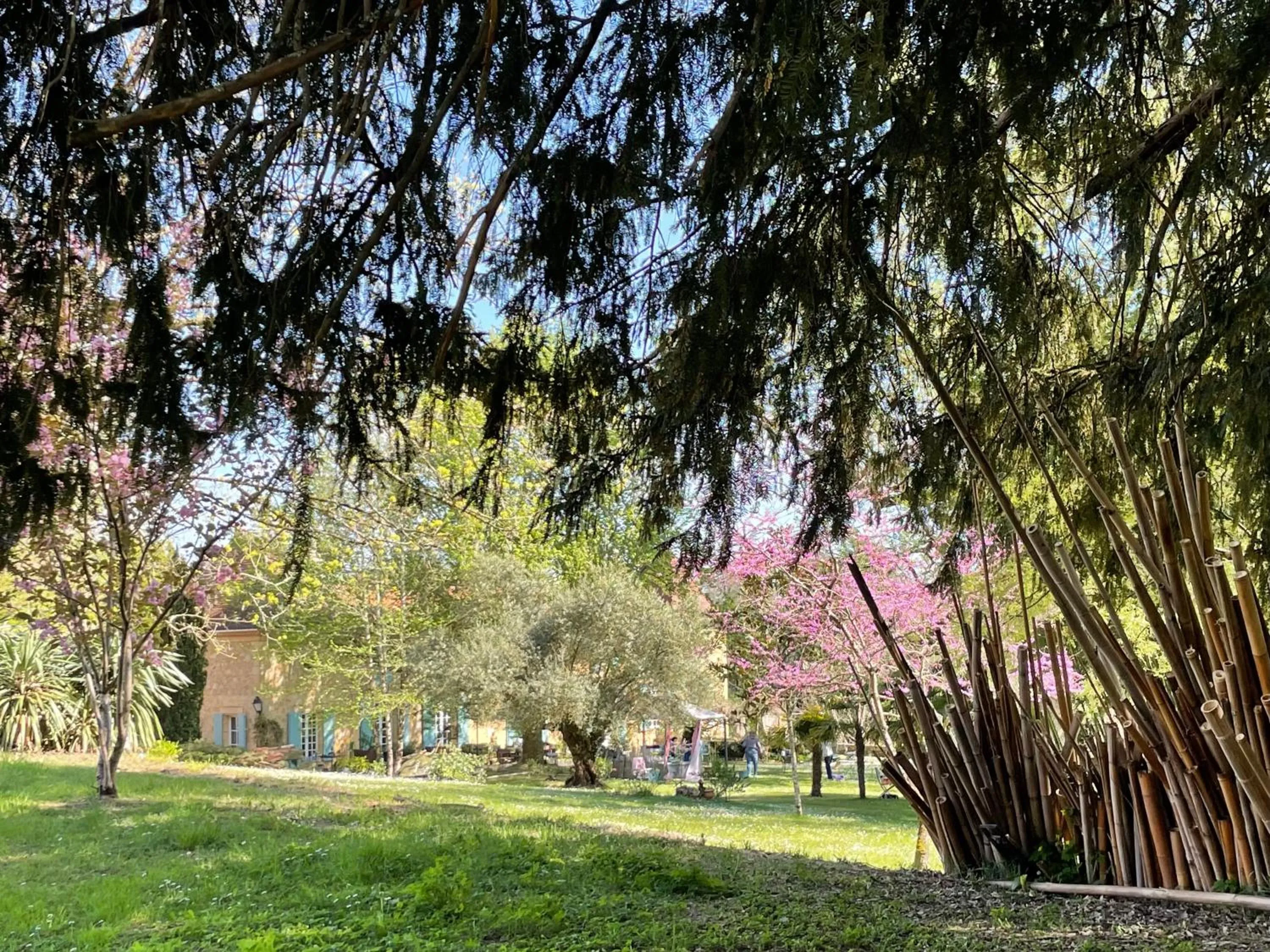 Spring in La Rebière d'Or, B&B et Gîte