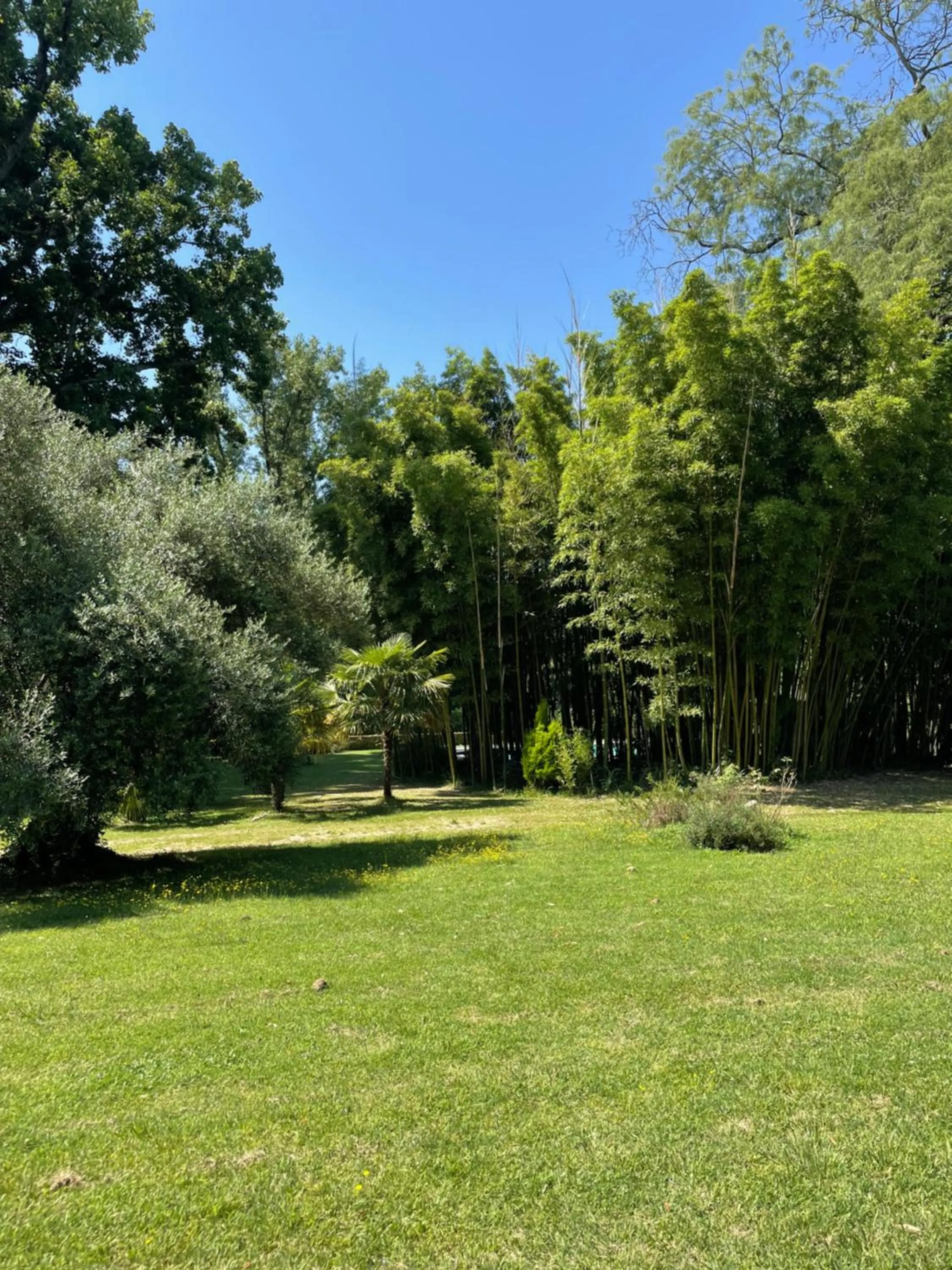 Natural landscape in La Rebière d'Or, B&B et Gîte
