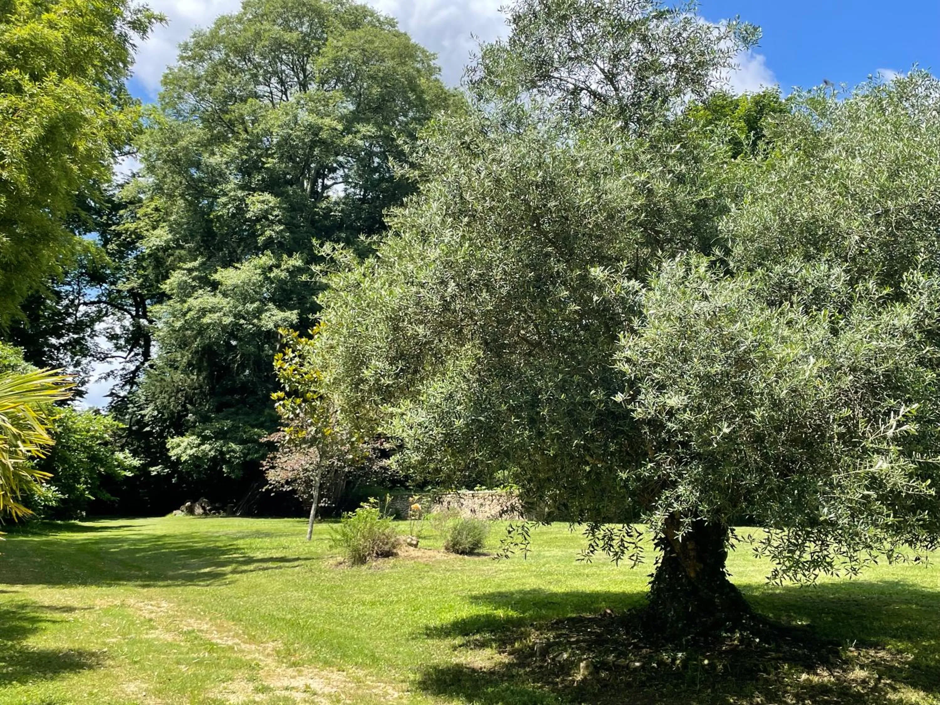 Natural landscape in La Rebière d'Or, B&B et Gîte