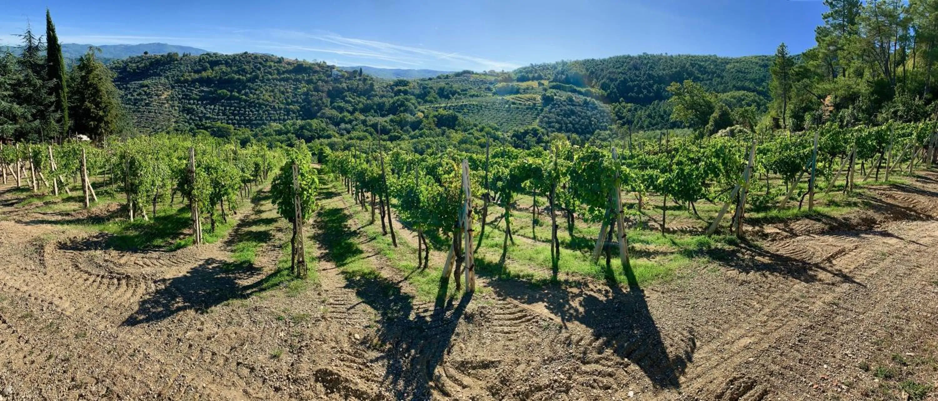 Natural landscape in Casa di Sasso