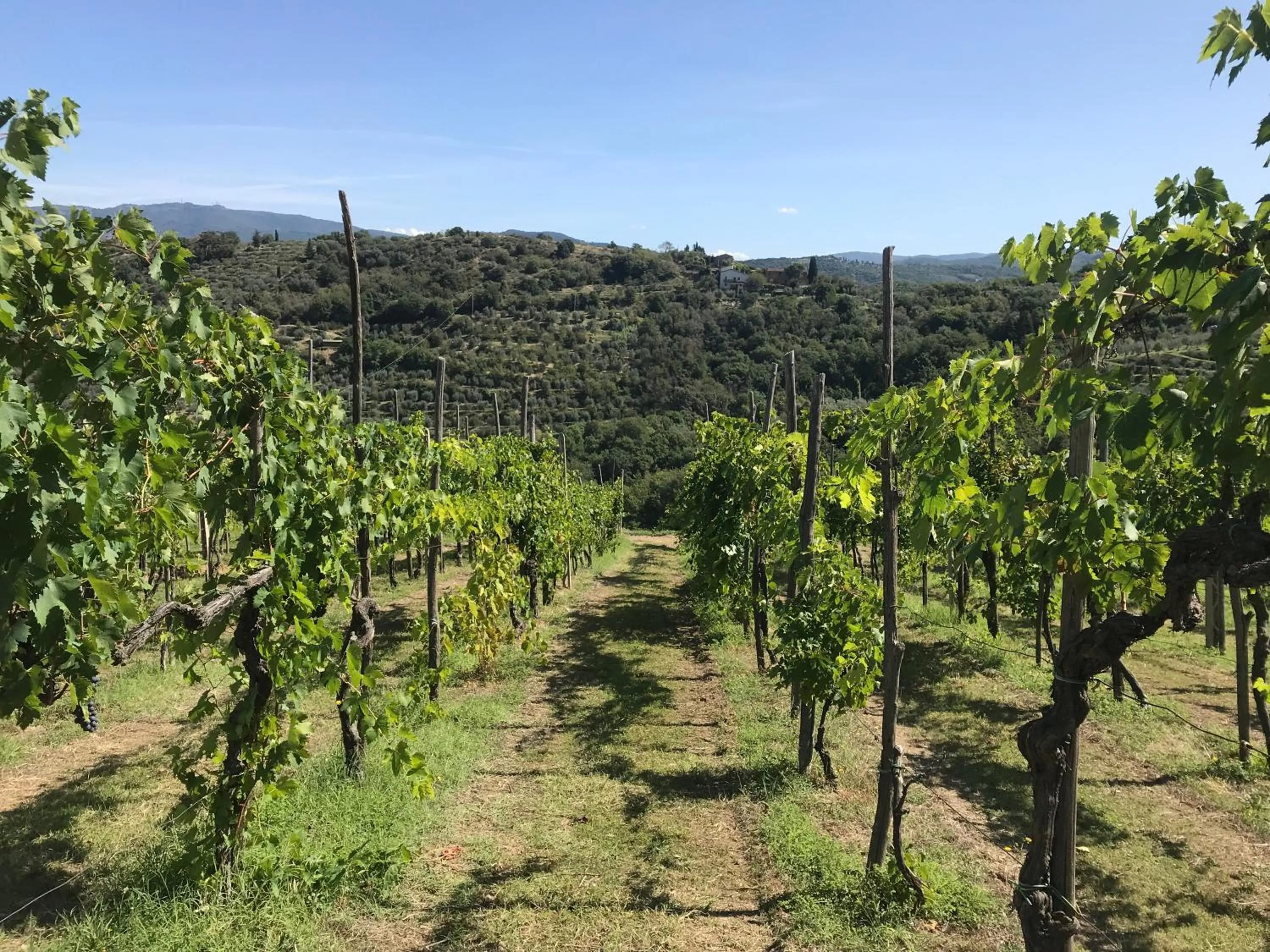 Natural landscape in Casa di Sasso