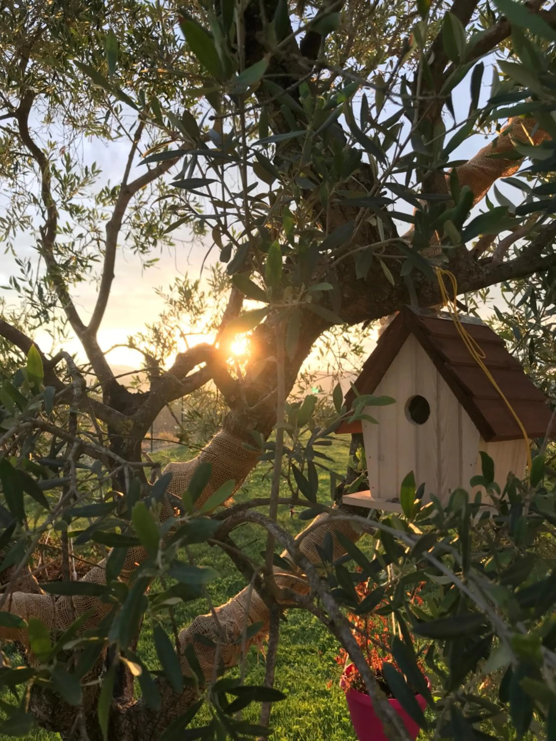 B&B La Casa Del Sole