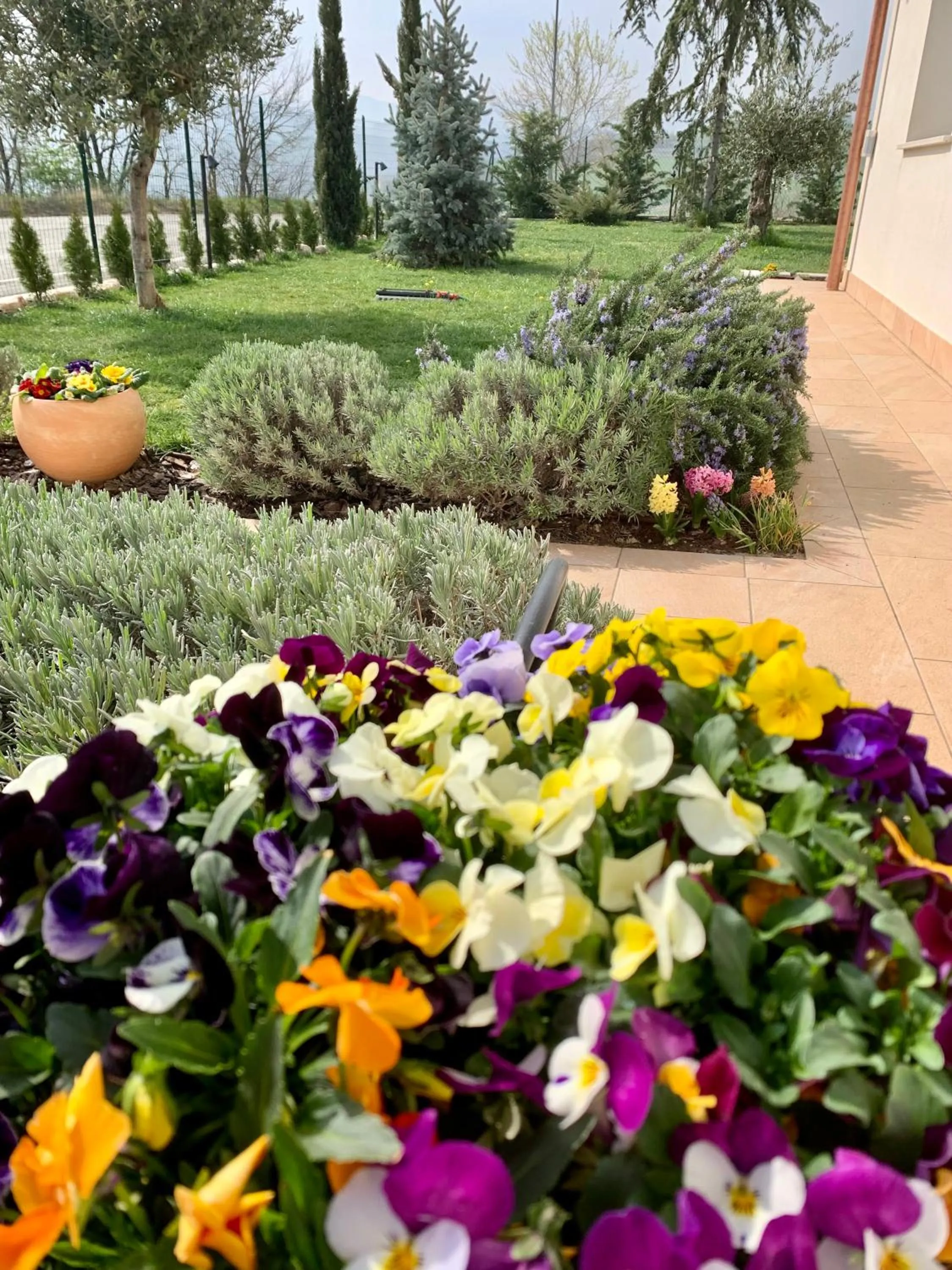 Garden in B&B La Casa Del Sole