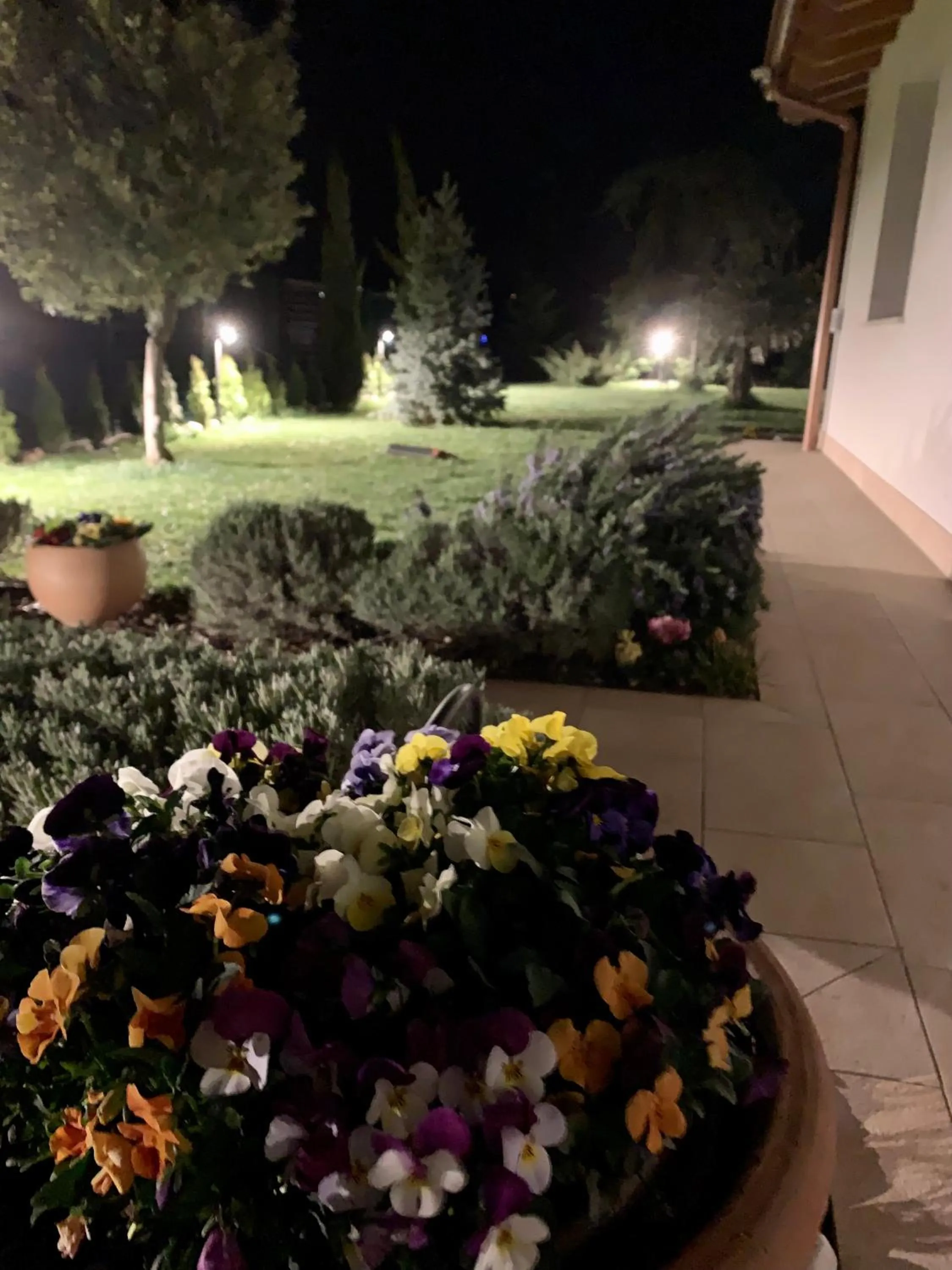 Garden in B&B La Casa Del Sole