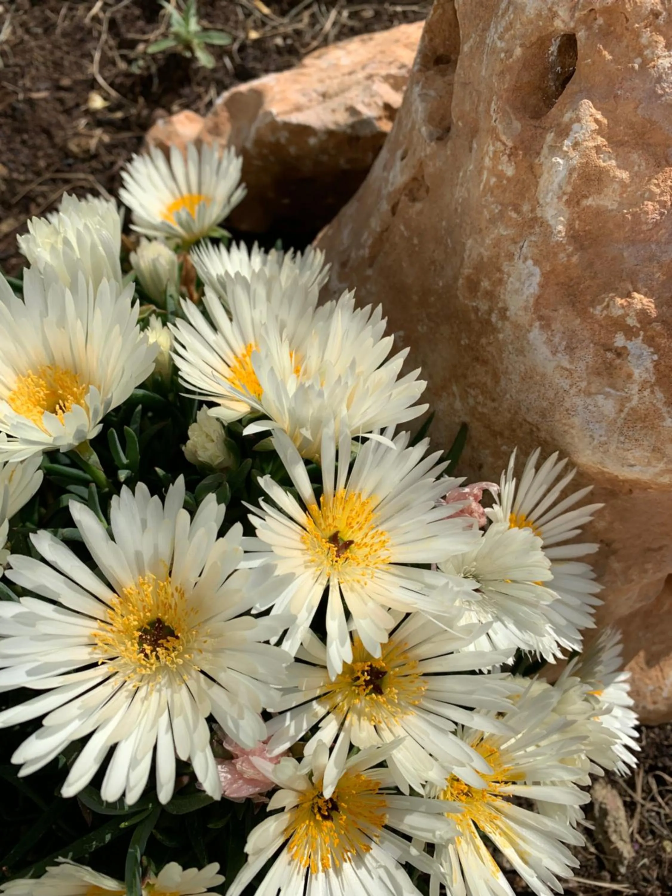 B&B La Casa Del Sole