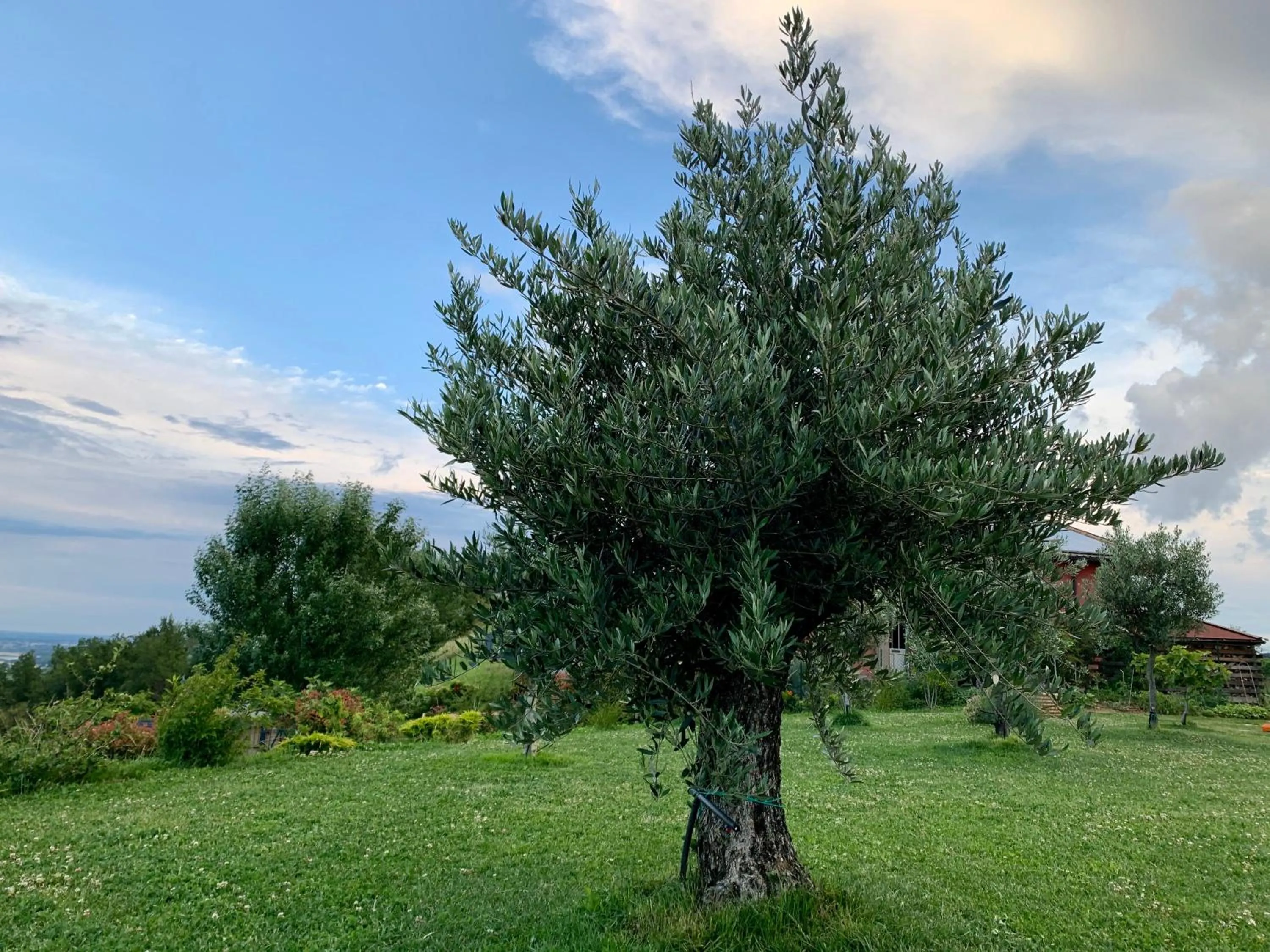 B&B La Casa Del Sole