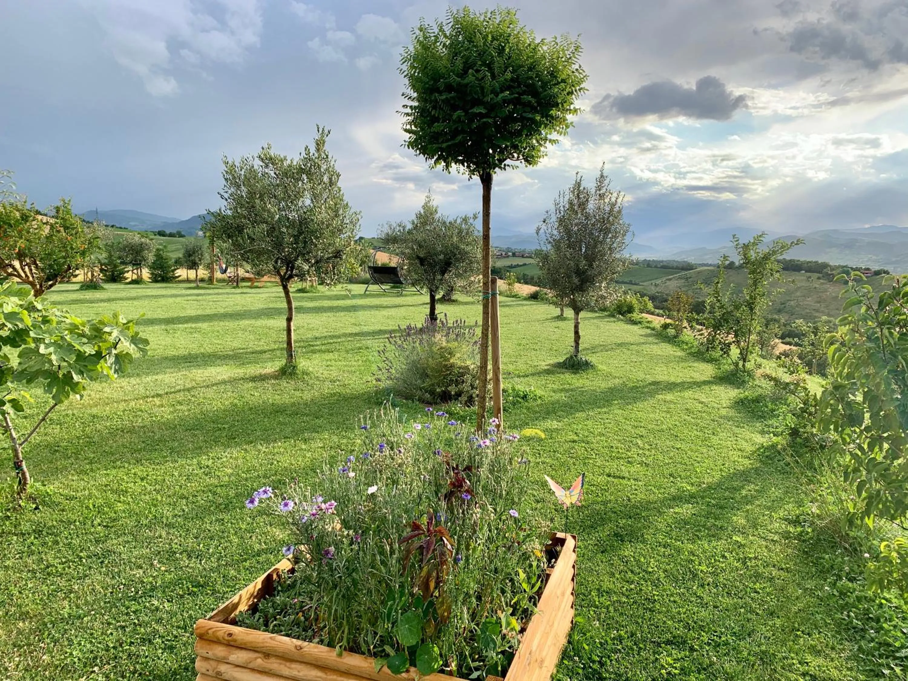 Garden in B&B La Casa Del Sole
