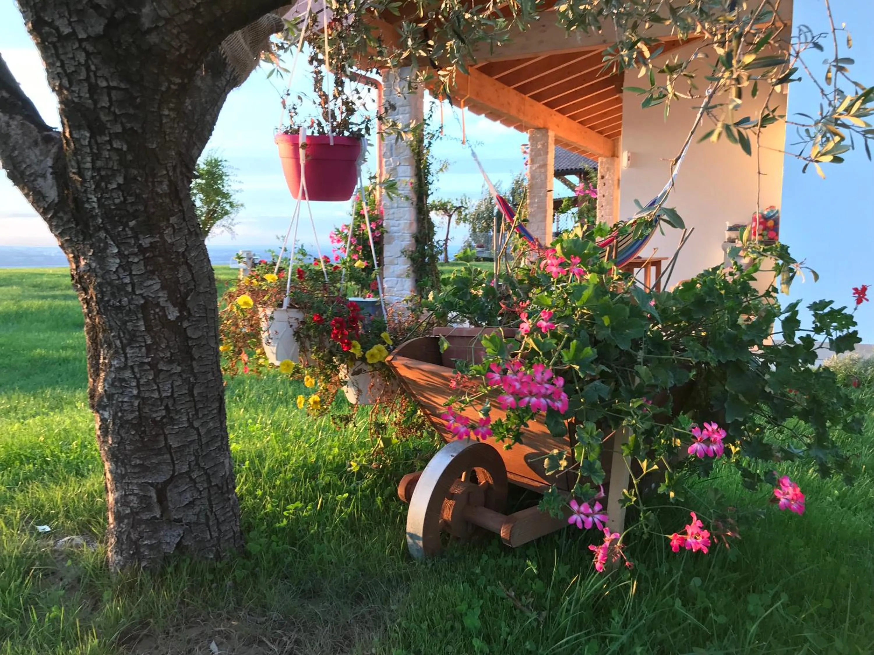 Garden view in B&B La Casa Del Sole